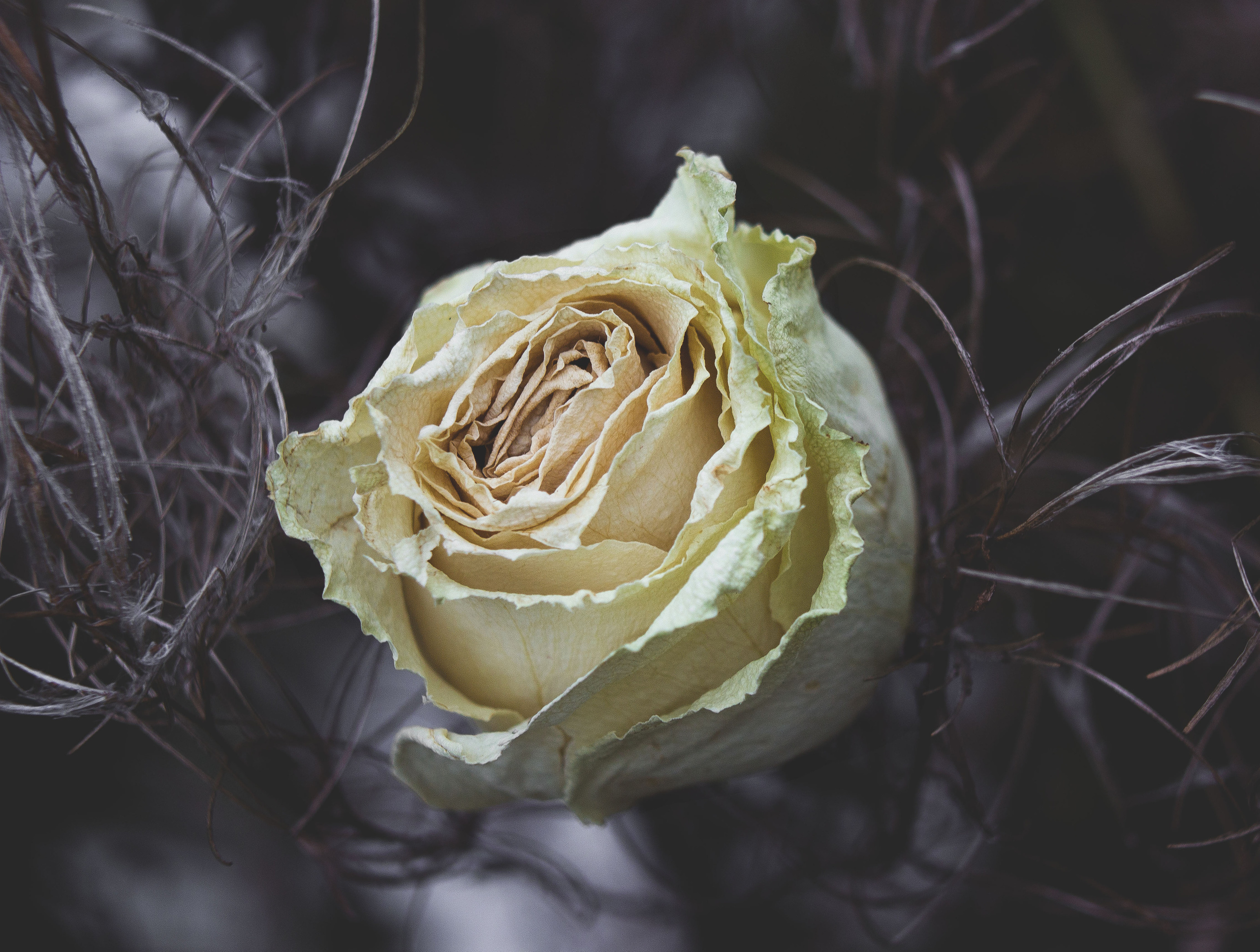 Природное. Обо всём