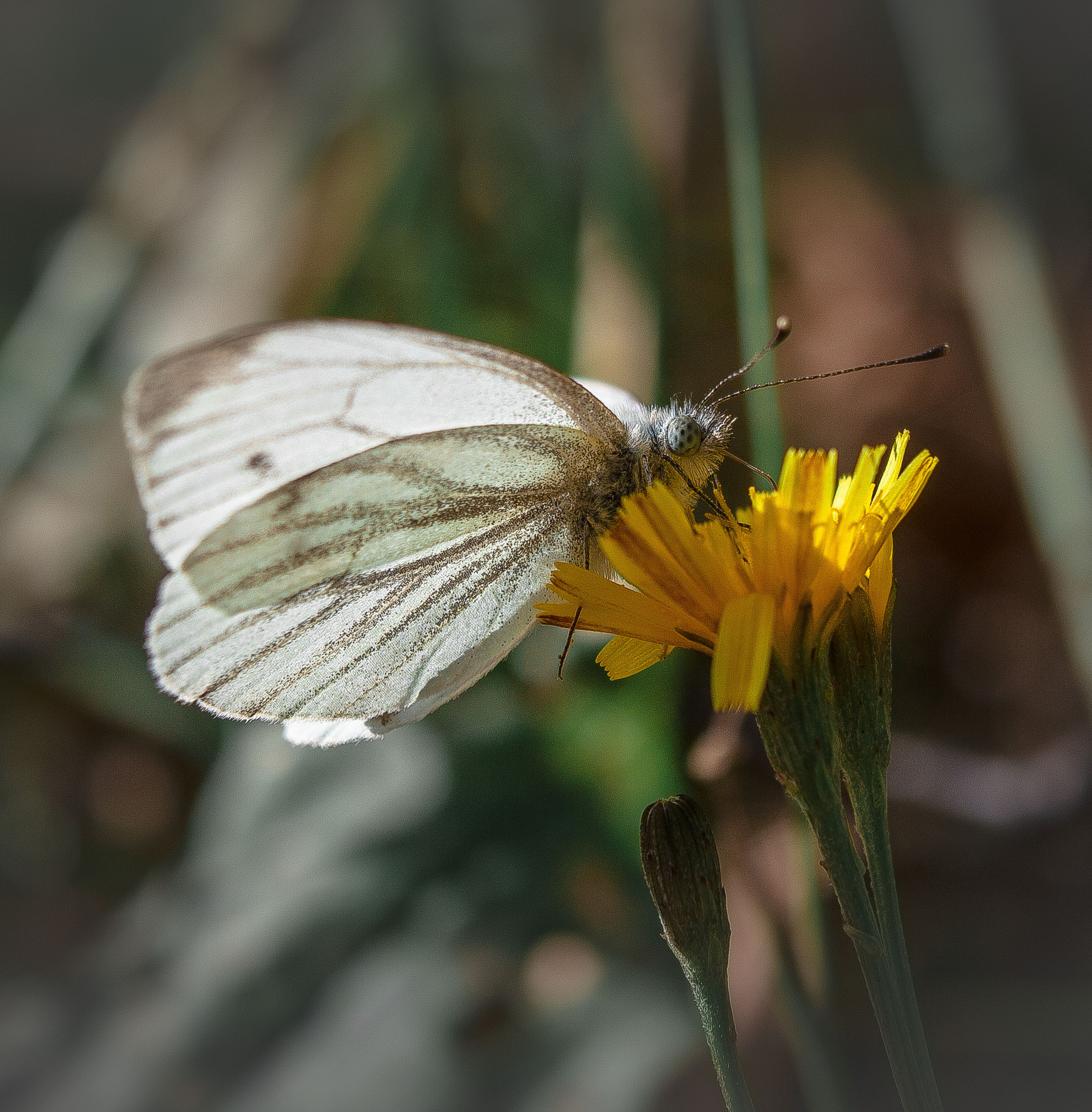 Макро. Обо всём