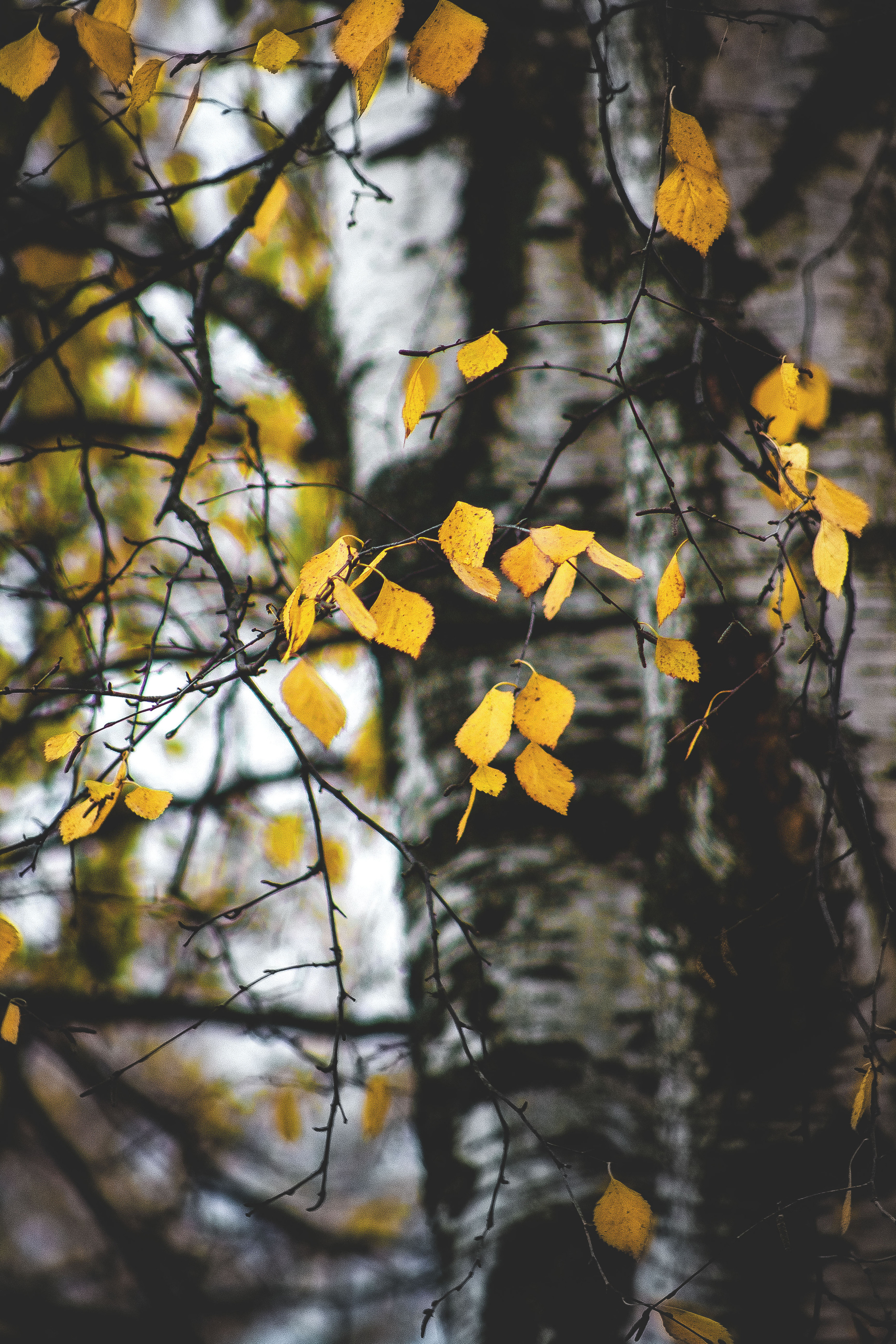 Природное. Обо всём