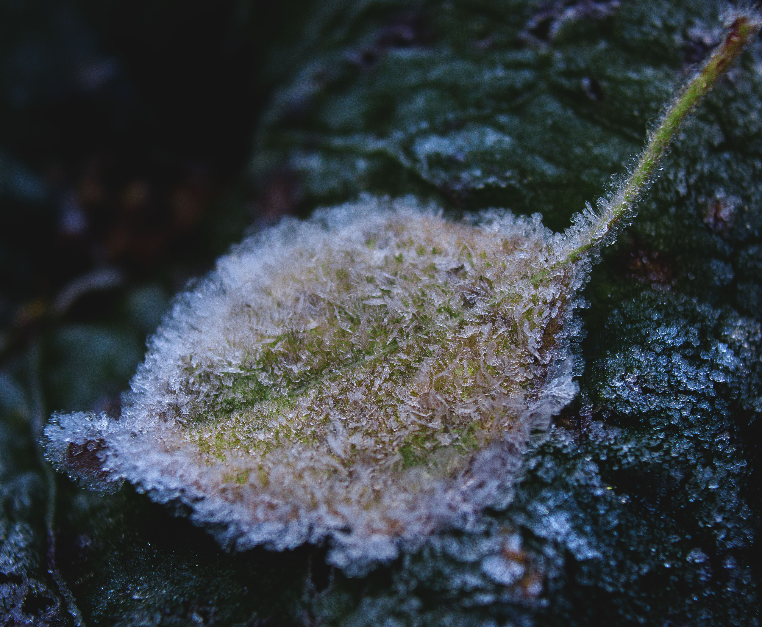 Природное. Обо всём