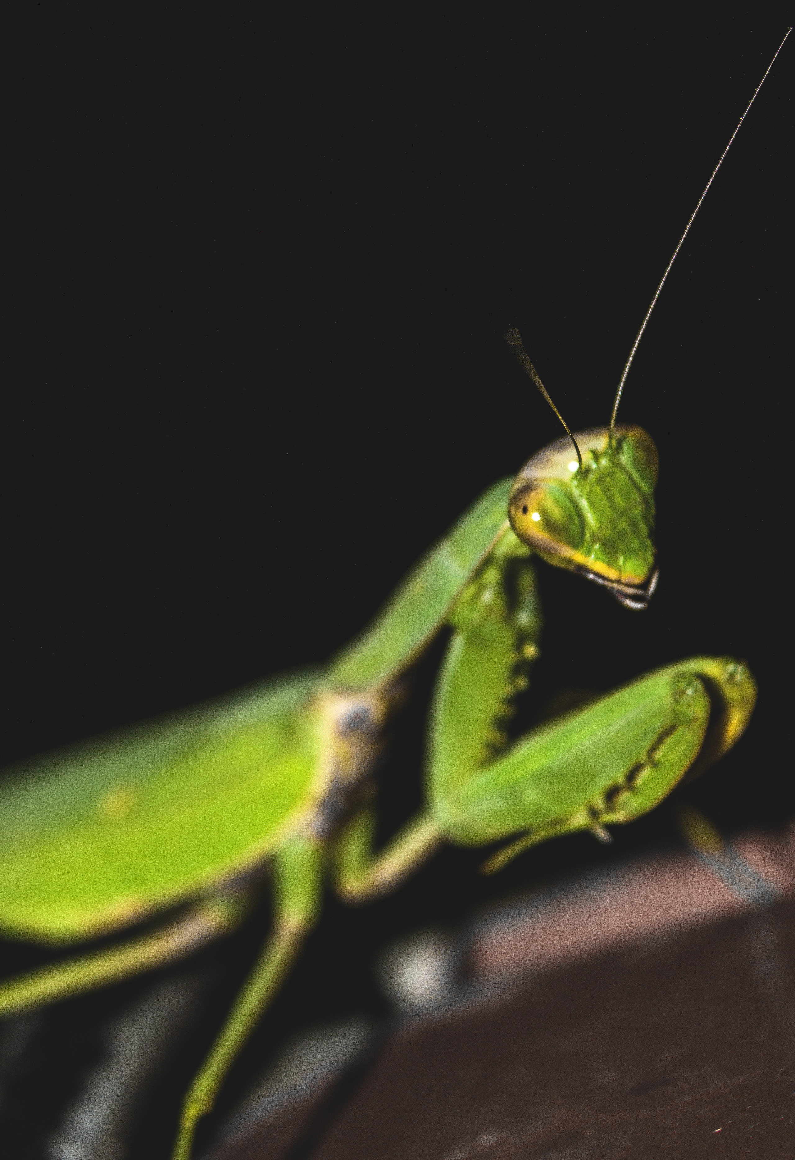 Макро. Обо всём