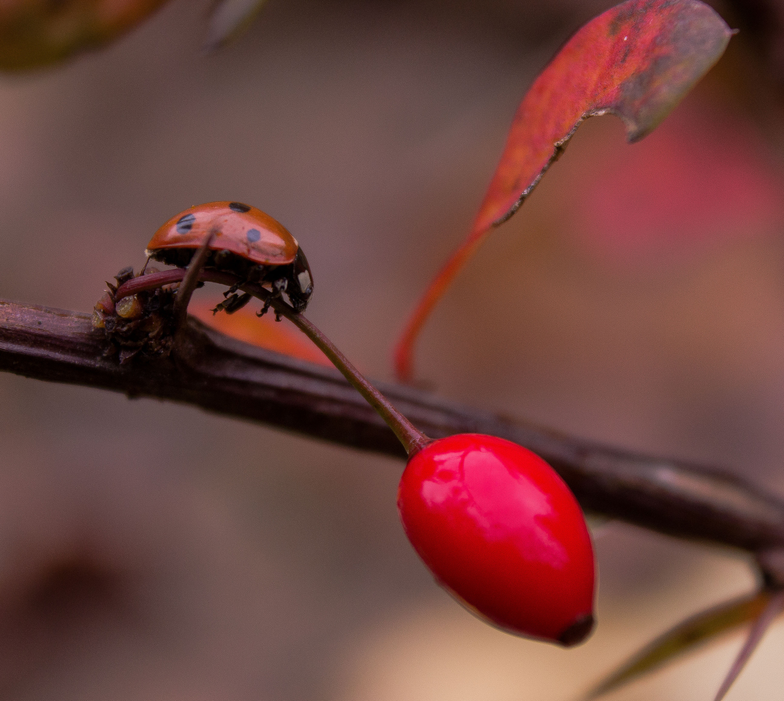 Макро. Обо всём