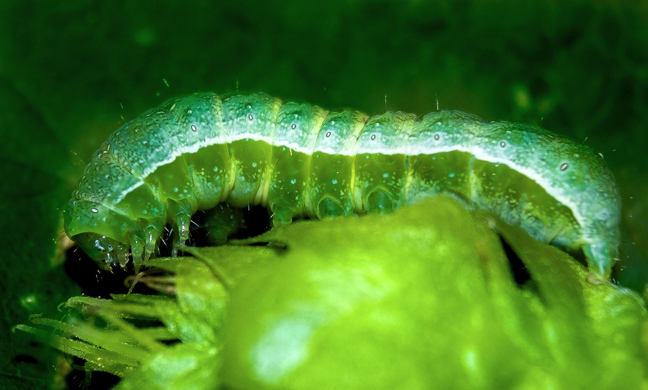 Макро. Обо всём