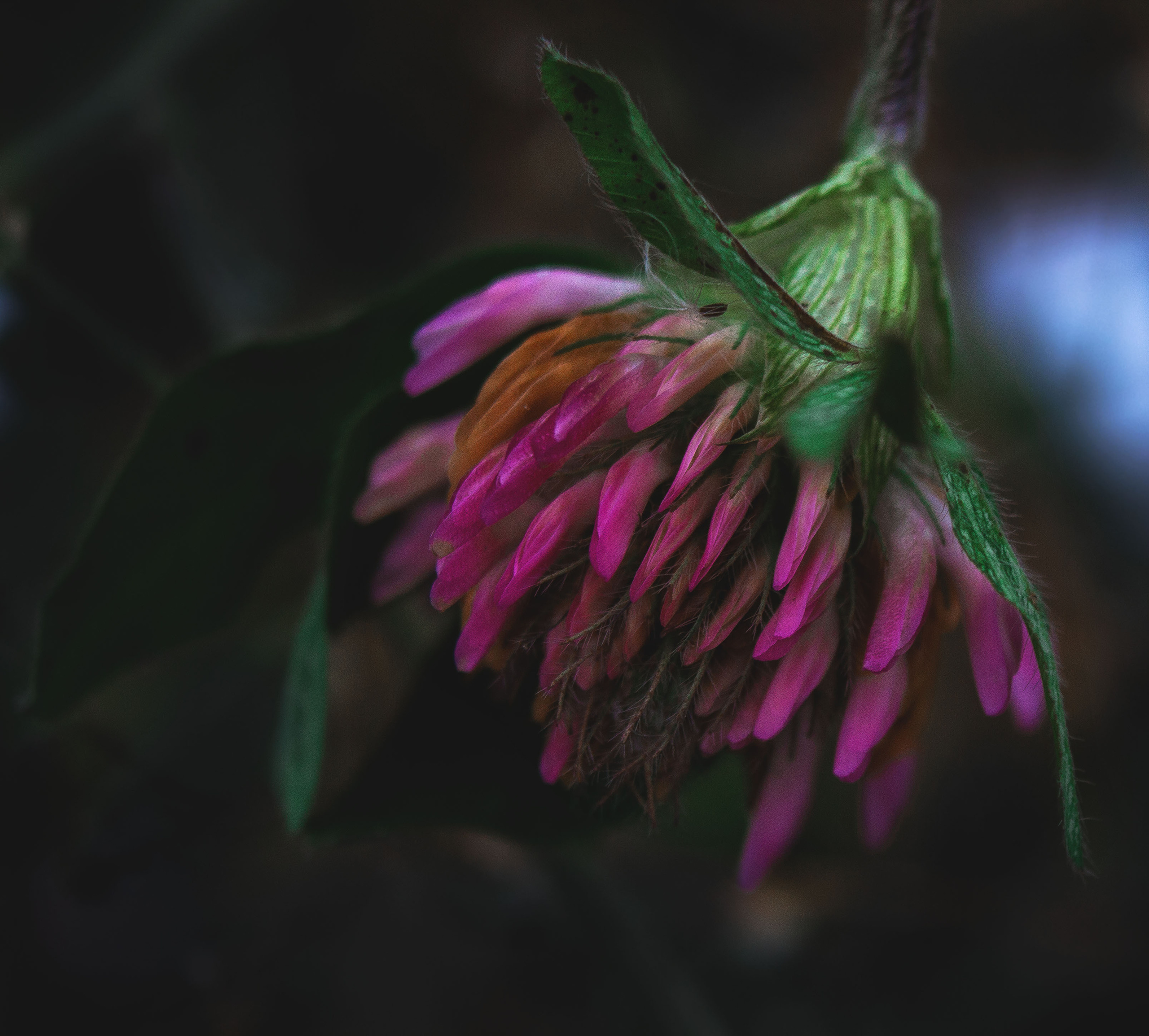 Природное. Обо всём