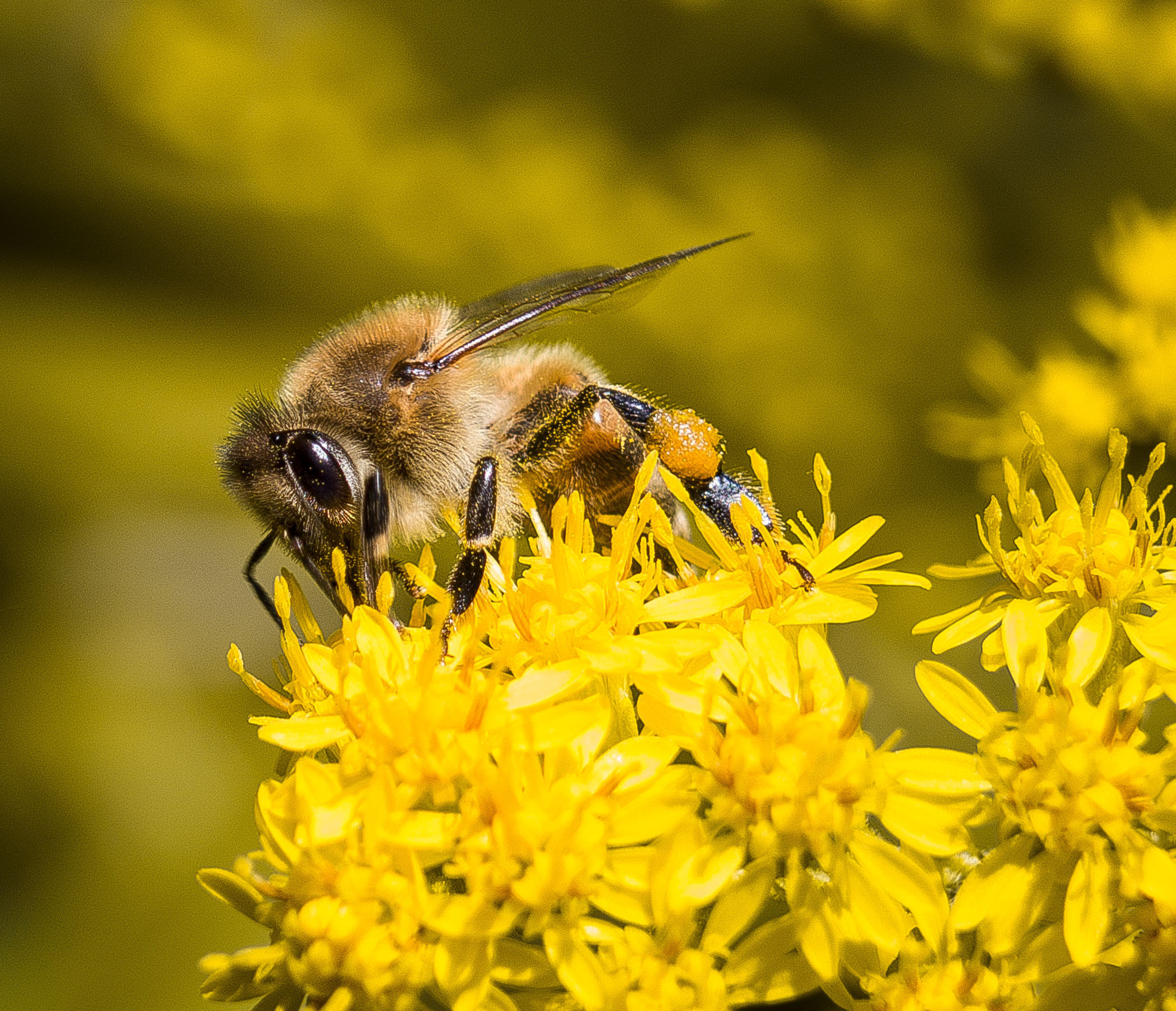Макро. Обо всём