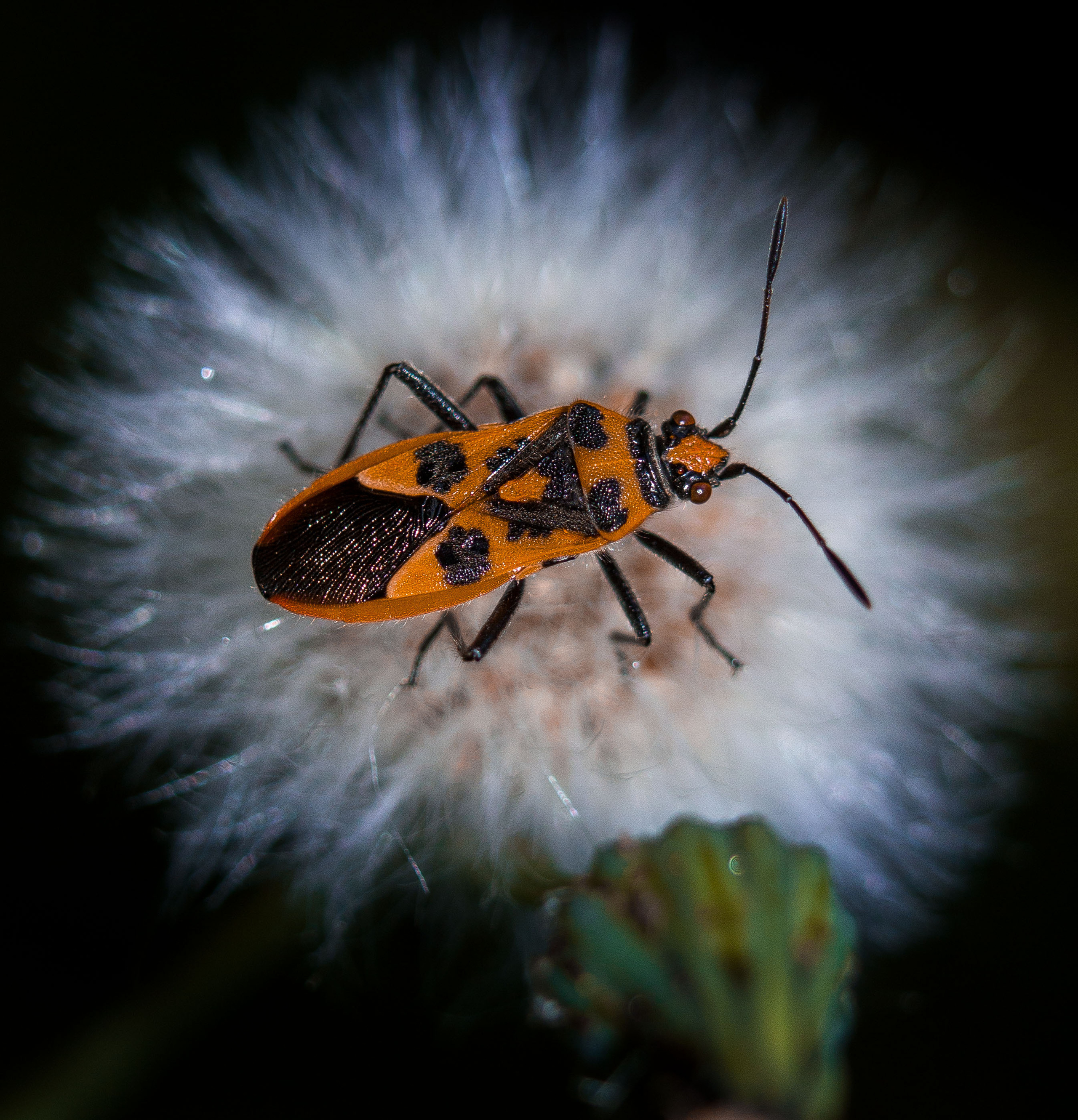 Макро. Обо всём