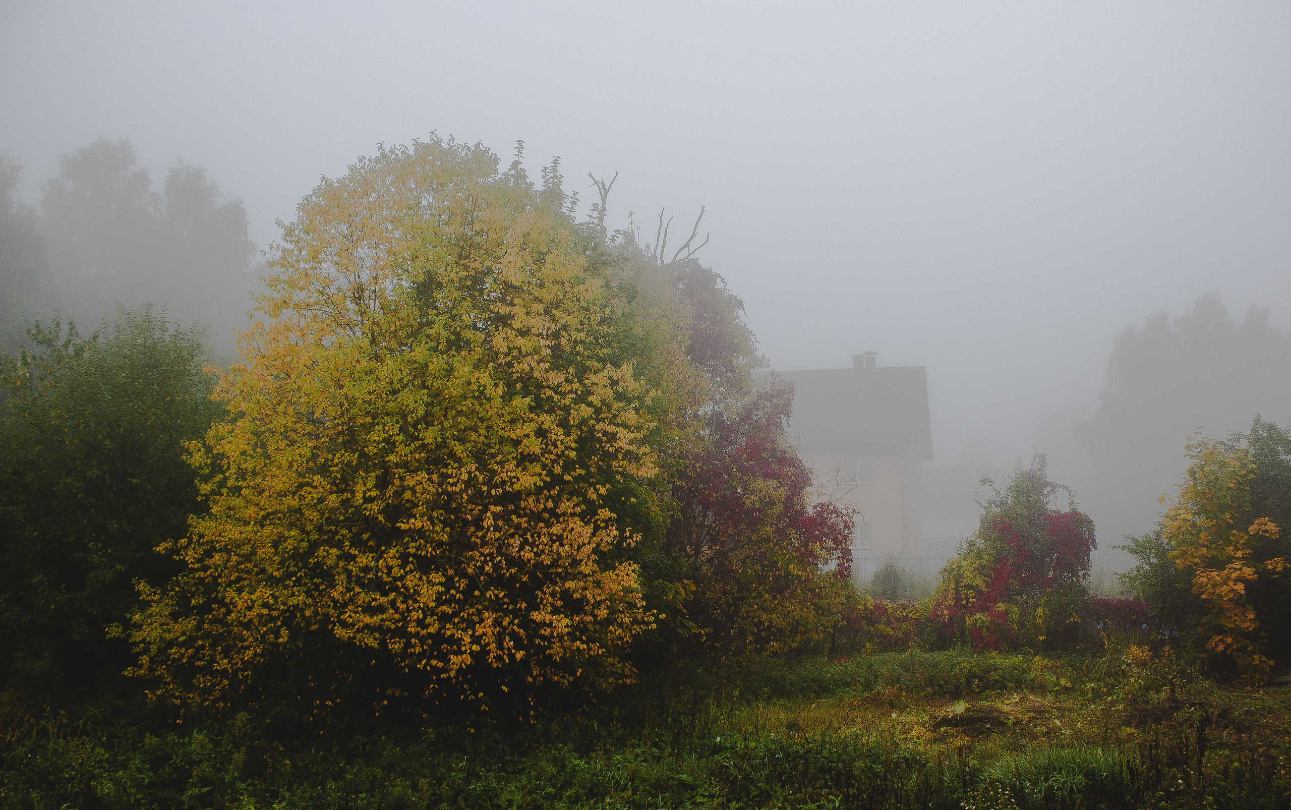 Пейзаж. Обо всём
