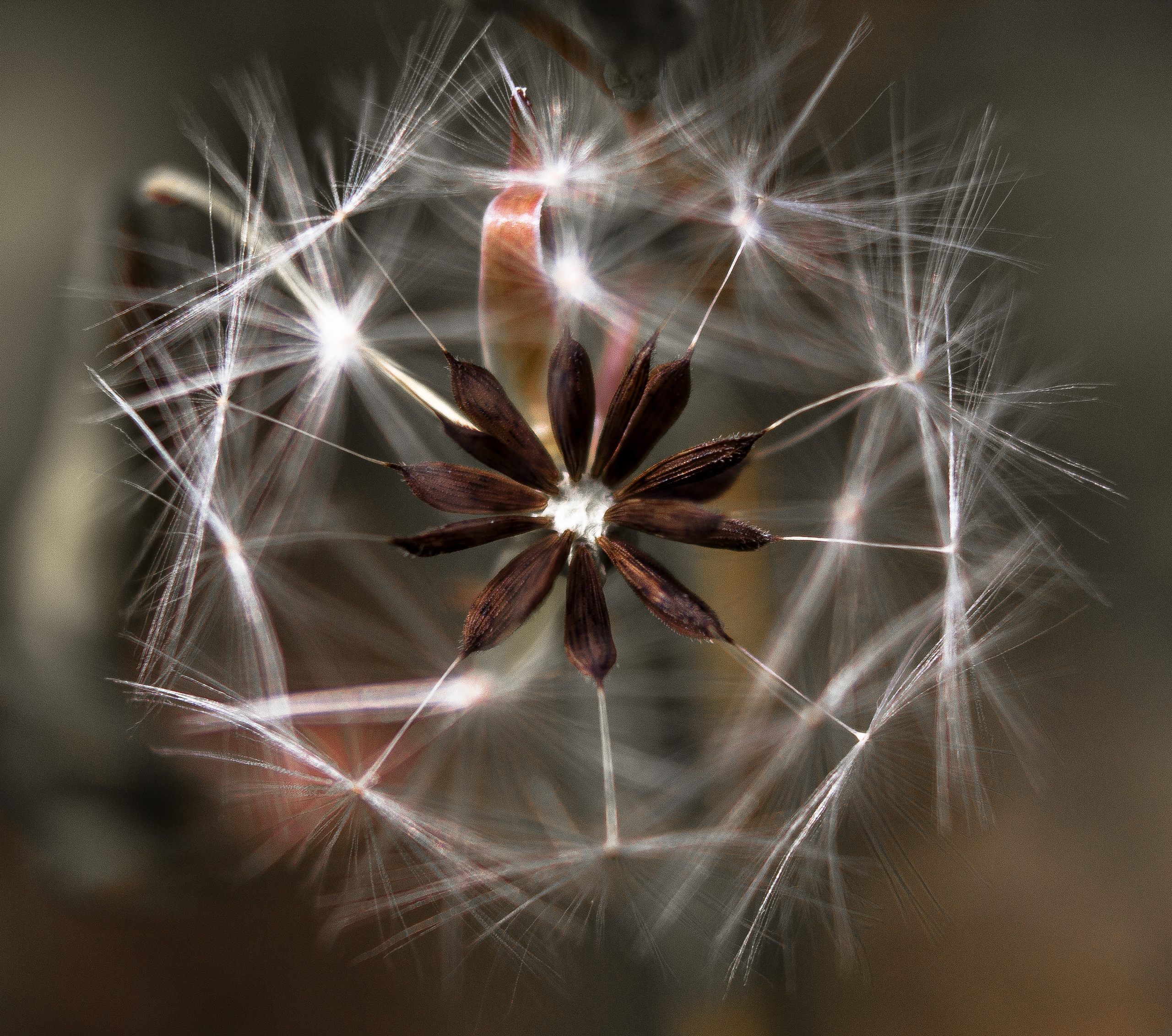 Природное. Обо всём