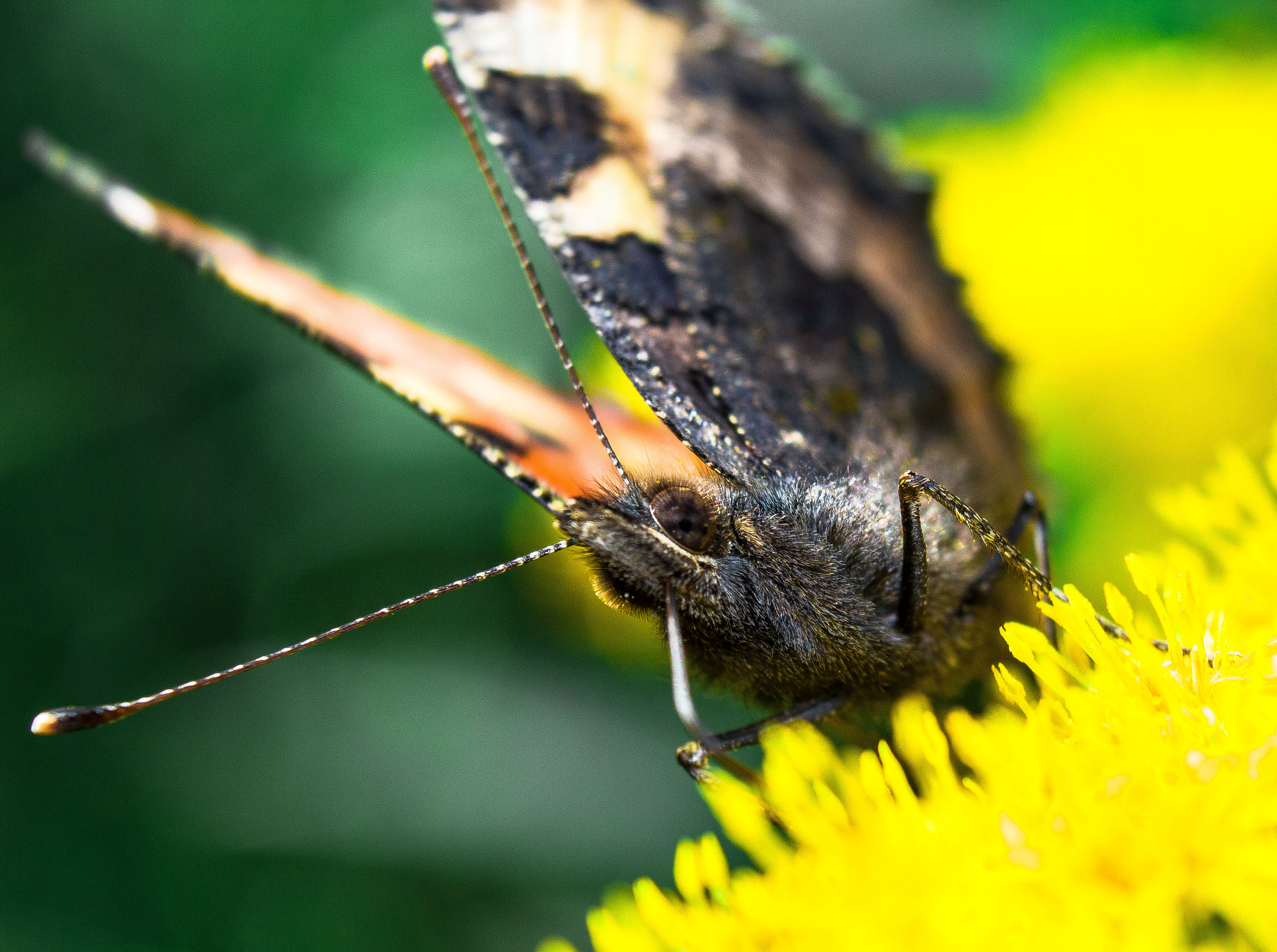 Макро. Обо всём