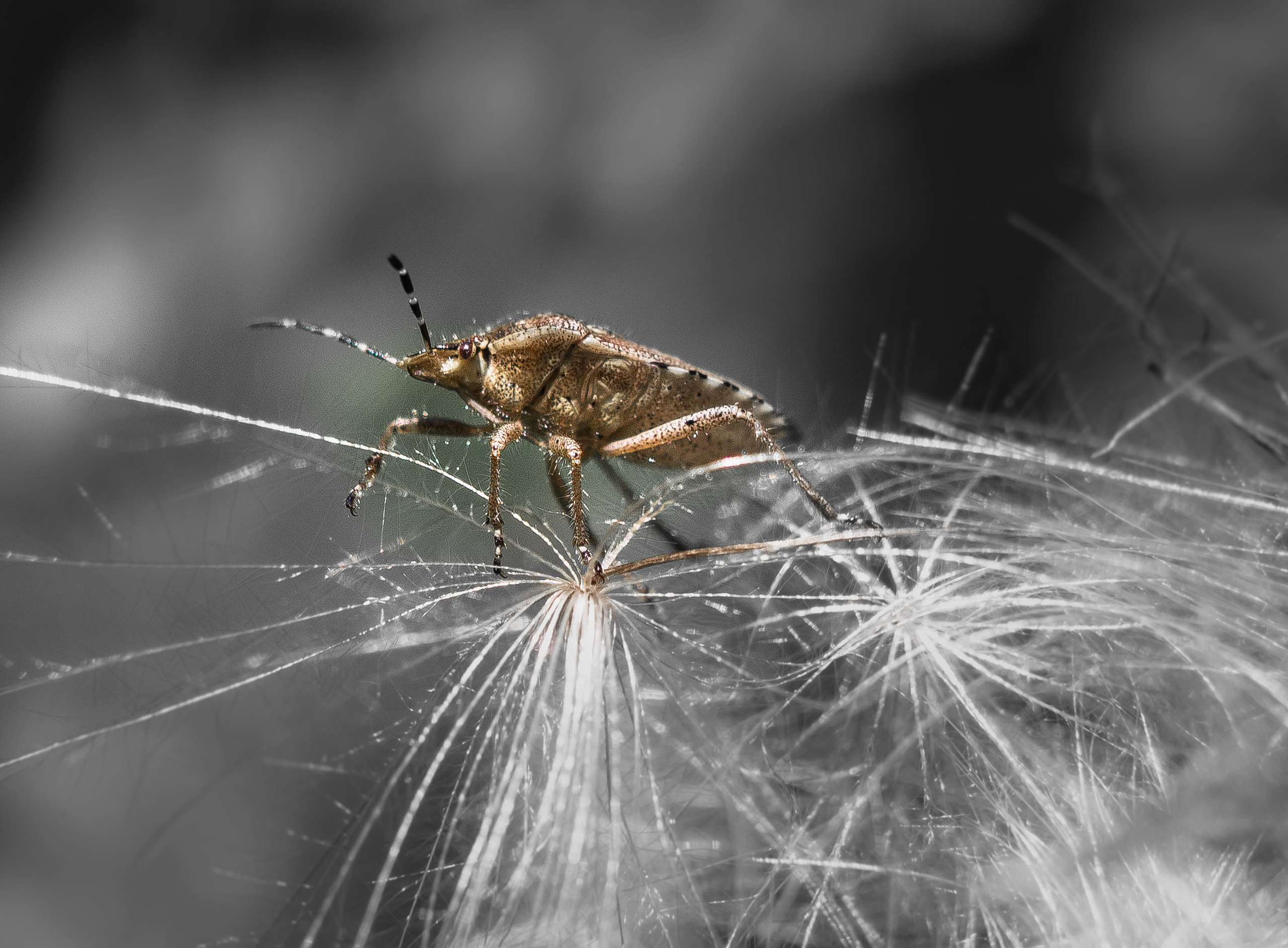 Макро. Обо всём