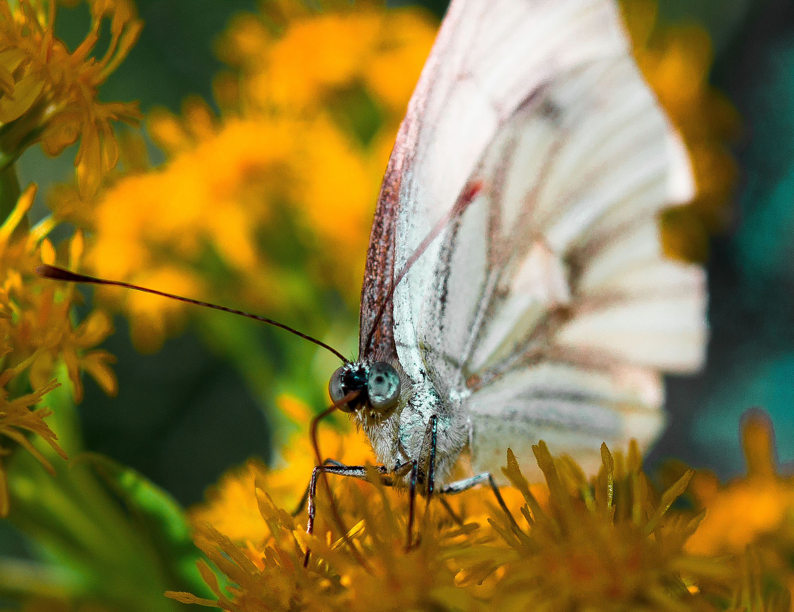 Макро. Обо всём