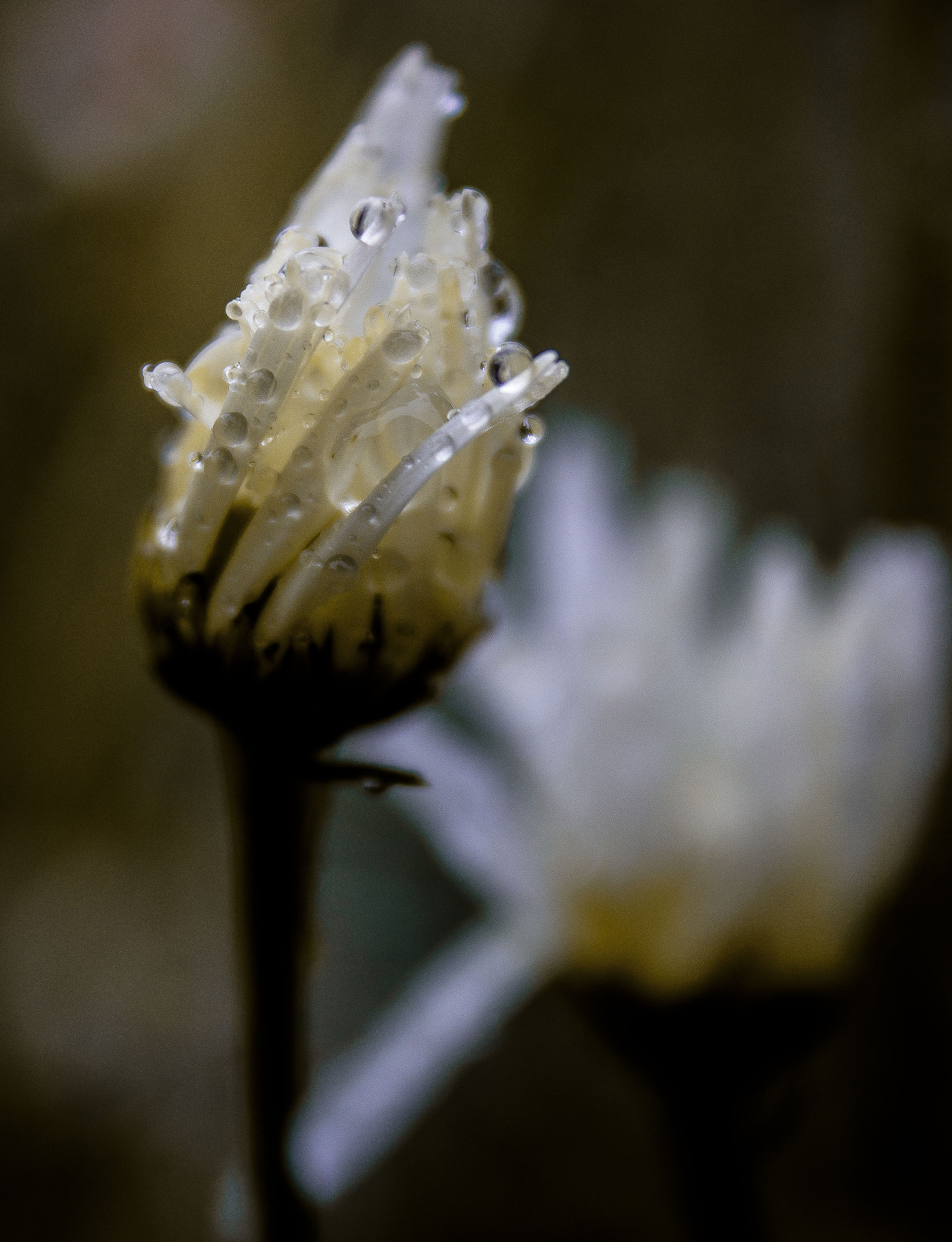 Природное. Обо всём