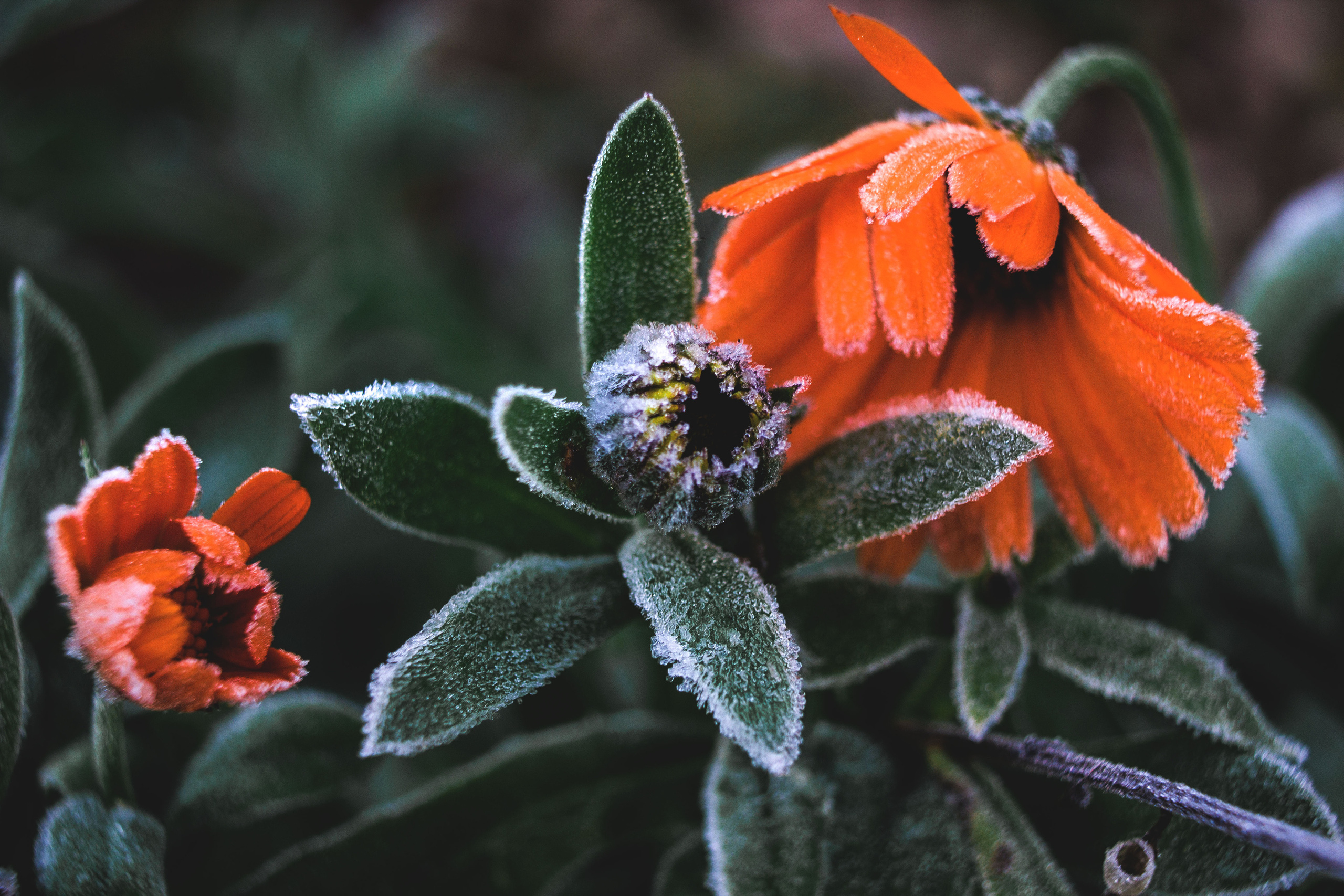 Природное. Обо всём