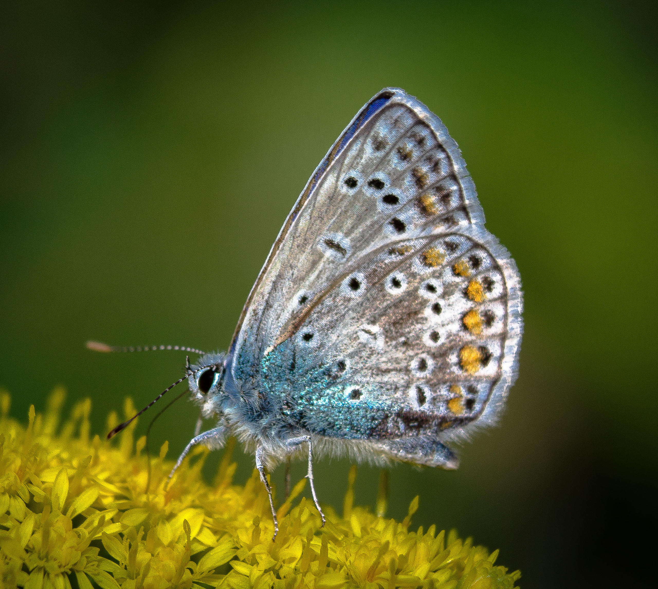 Макро. Обо всём
