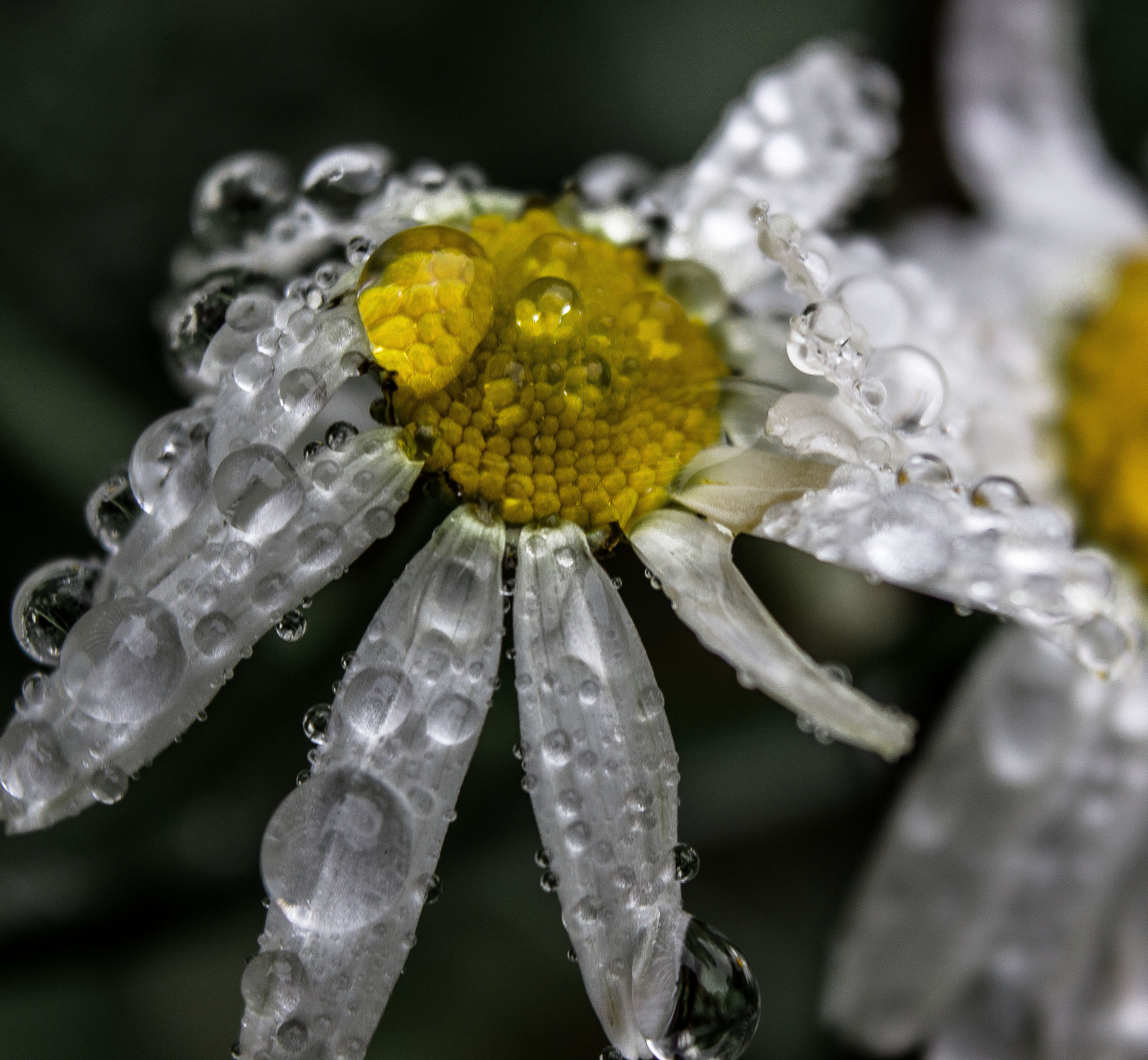 Природное. Обо всём