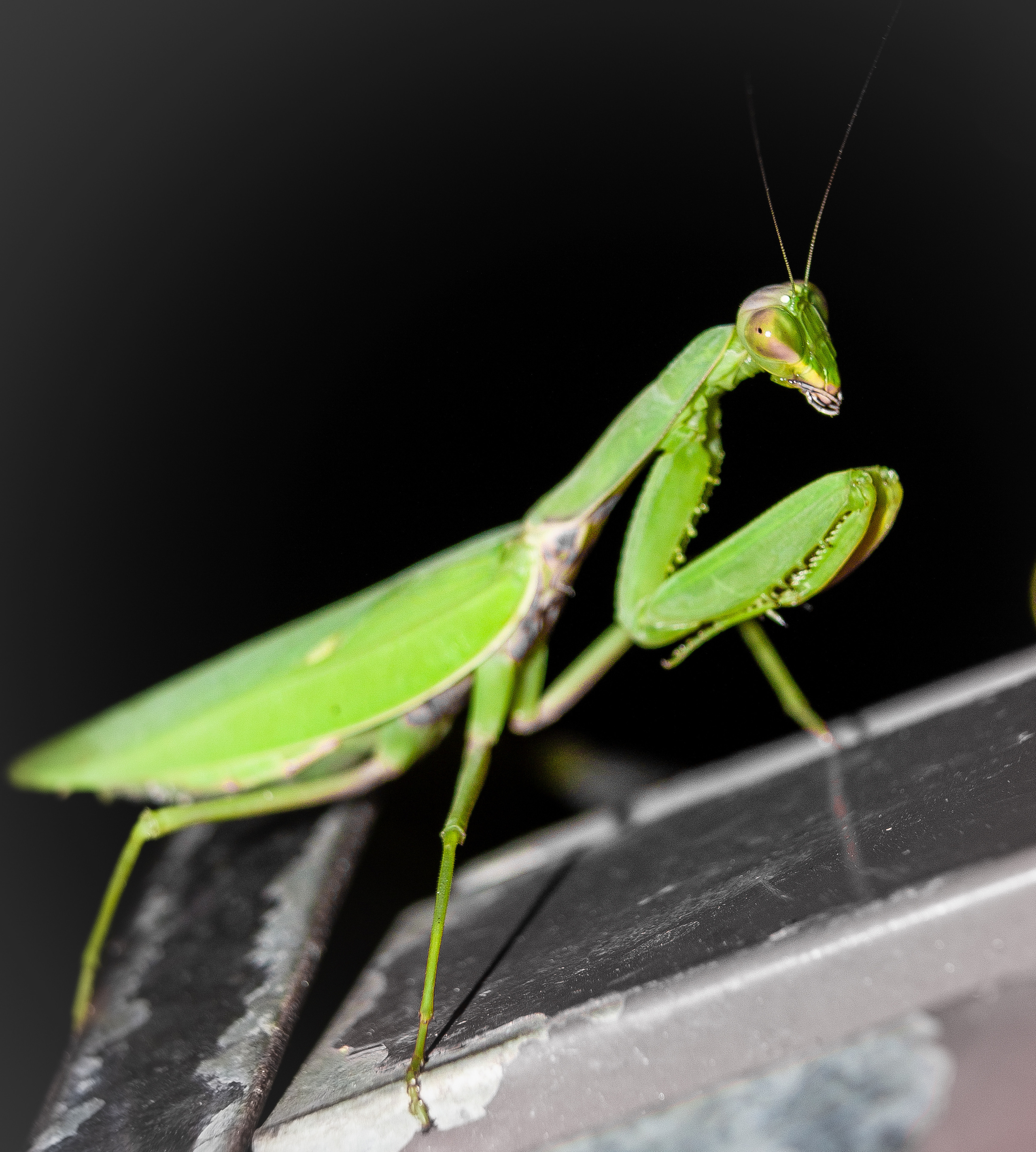 Макро. Обо всём