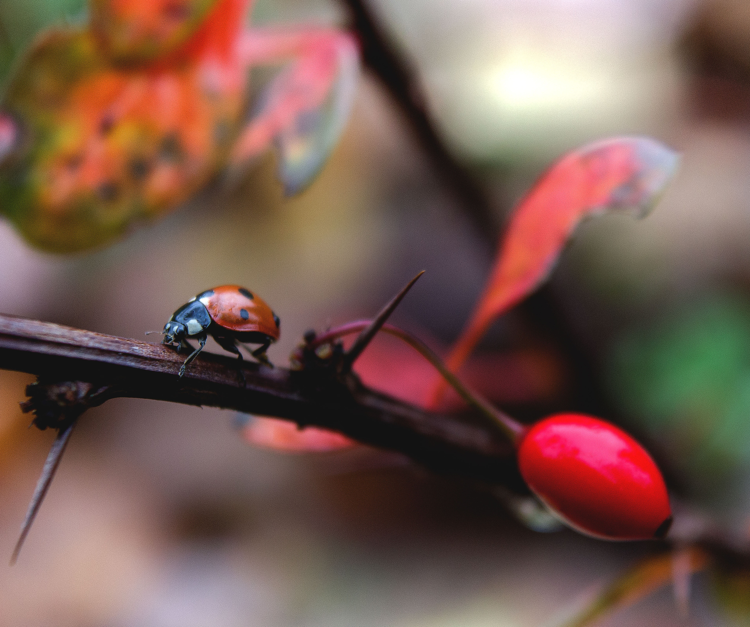 Макро. Обо всём