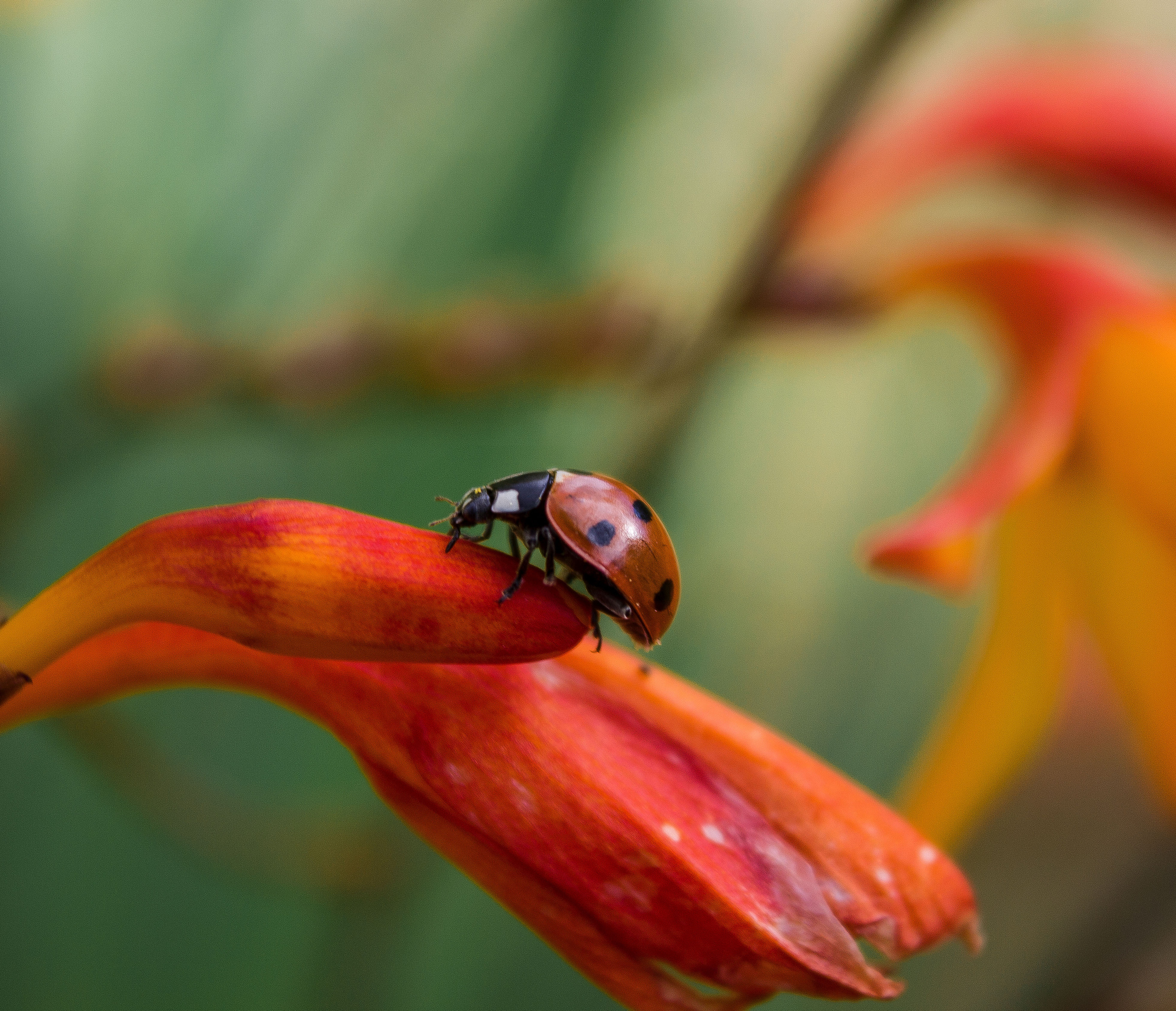 Макро. Обо всём