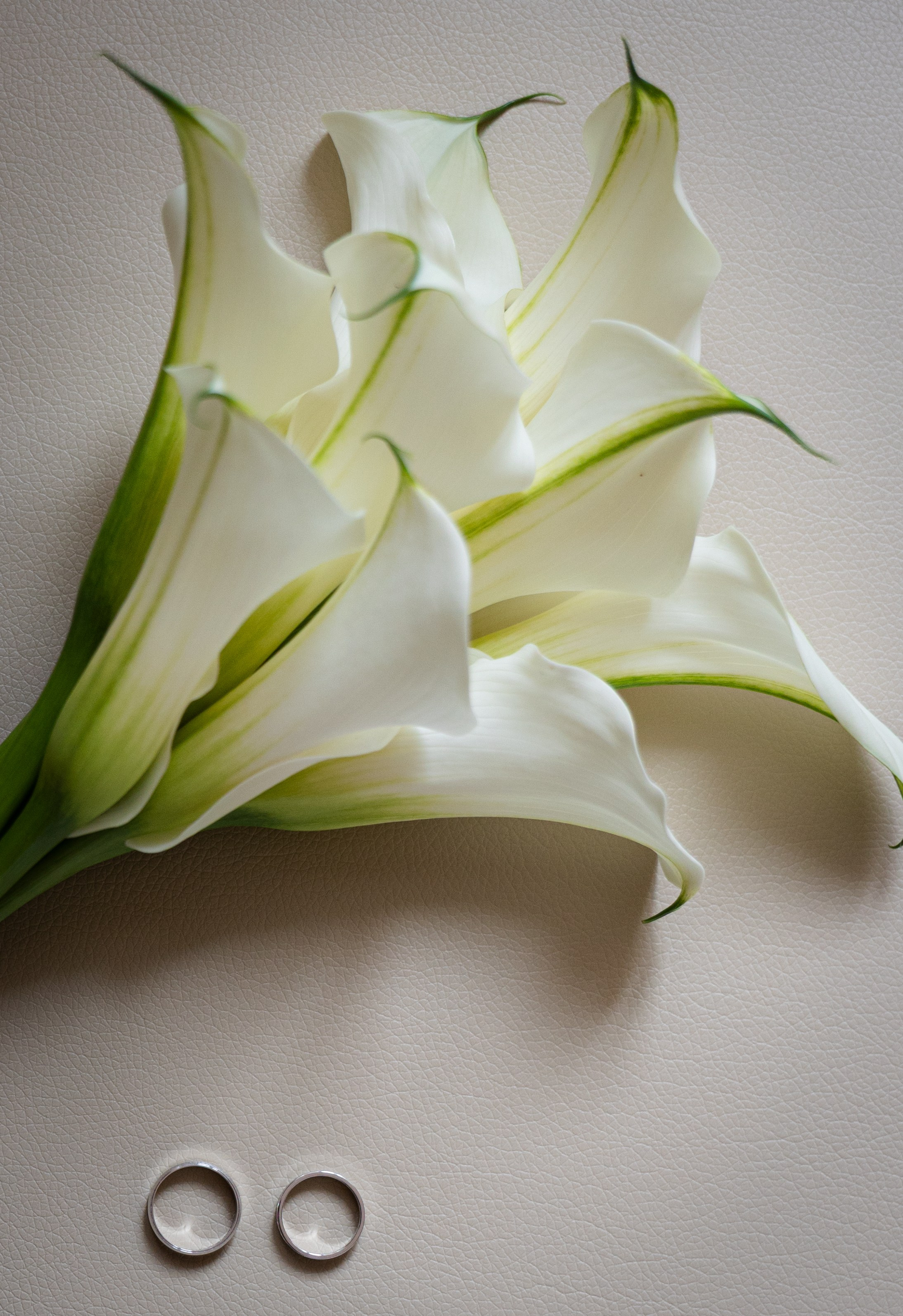 Анна и Дмитрий. Ваш фотограф — Александра Андрущенко