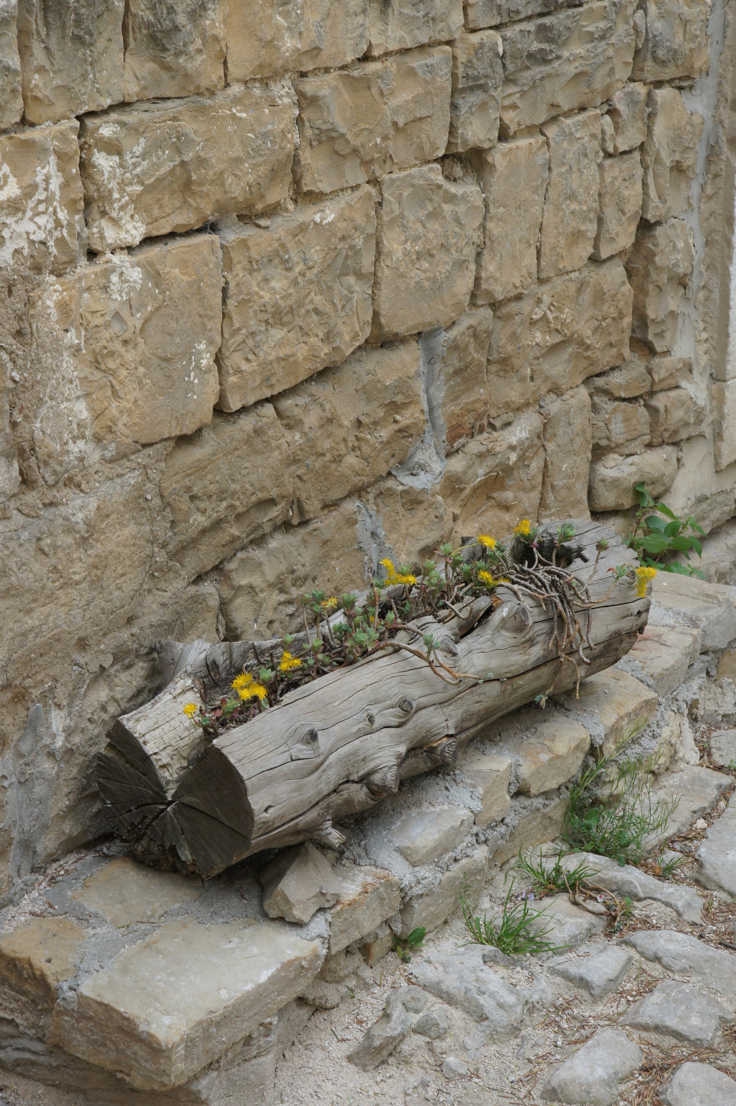 Хорватия. Главная