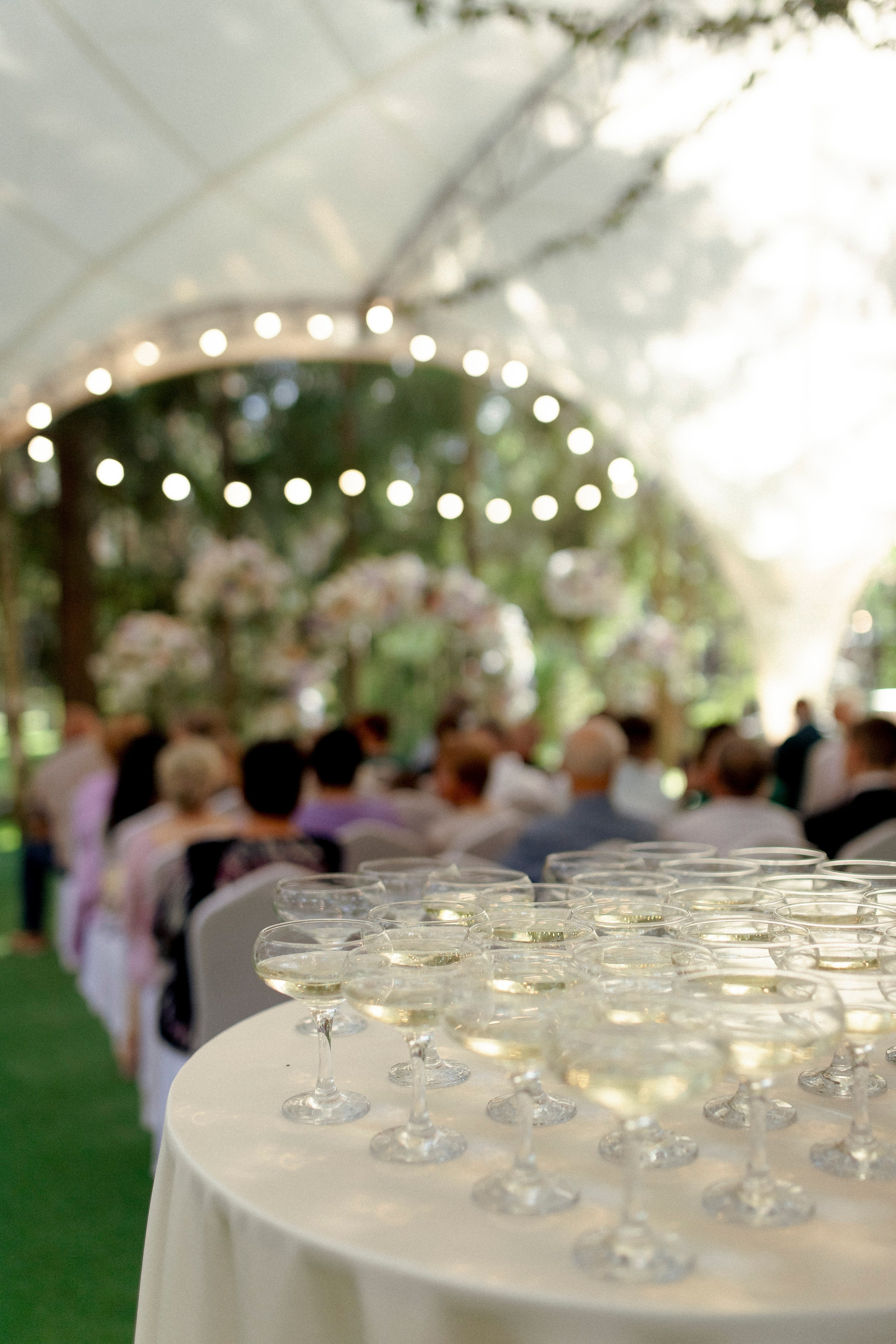 Даша и Максим 10.08.24. Индивидуальный, семейный и свадебный фотограф