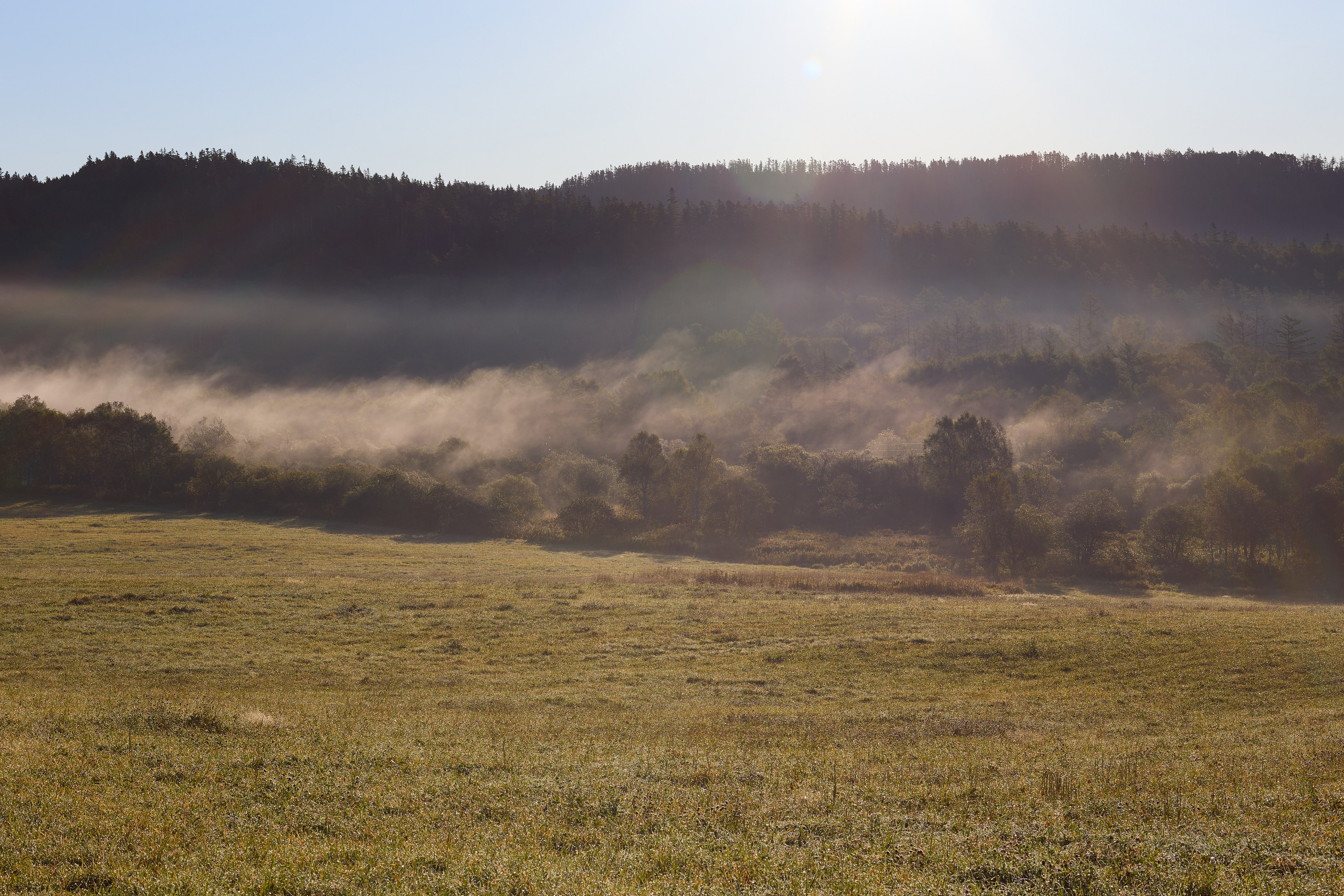 Остров Сахалин. Фотограф в Южно-Сахалинске Вадим Бороненков