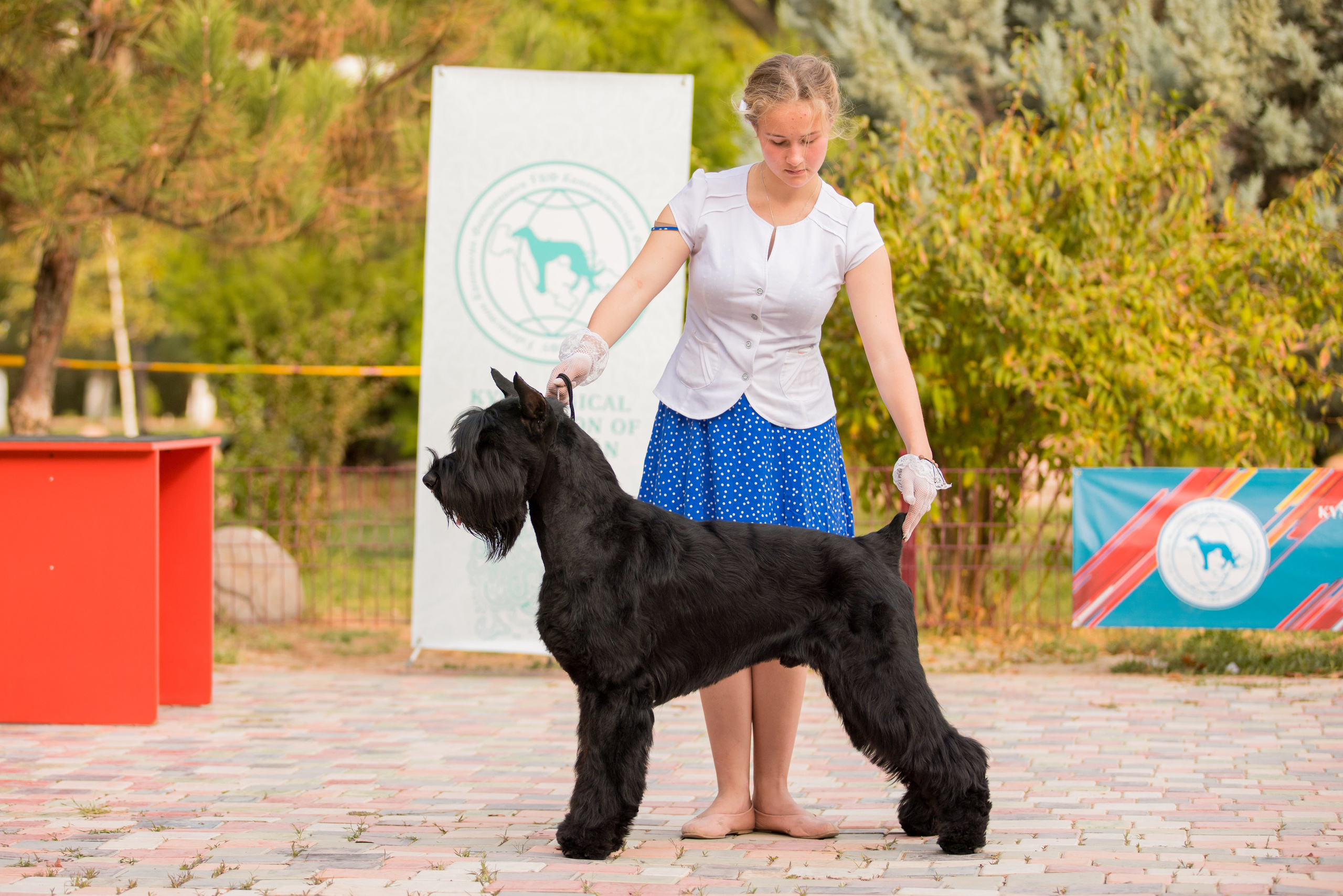 Ташкент 6-8.10.2023 + Алматы 14-15.10.2023. Фотограф-анималист Юлия Германика