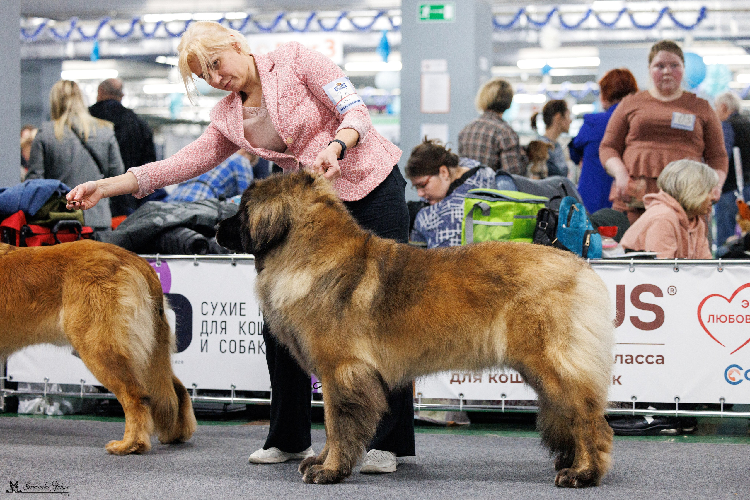 Сфера 28.01. и 4.02.2024. Фотограф-анималист Юлия Германика