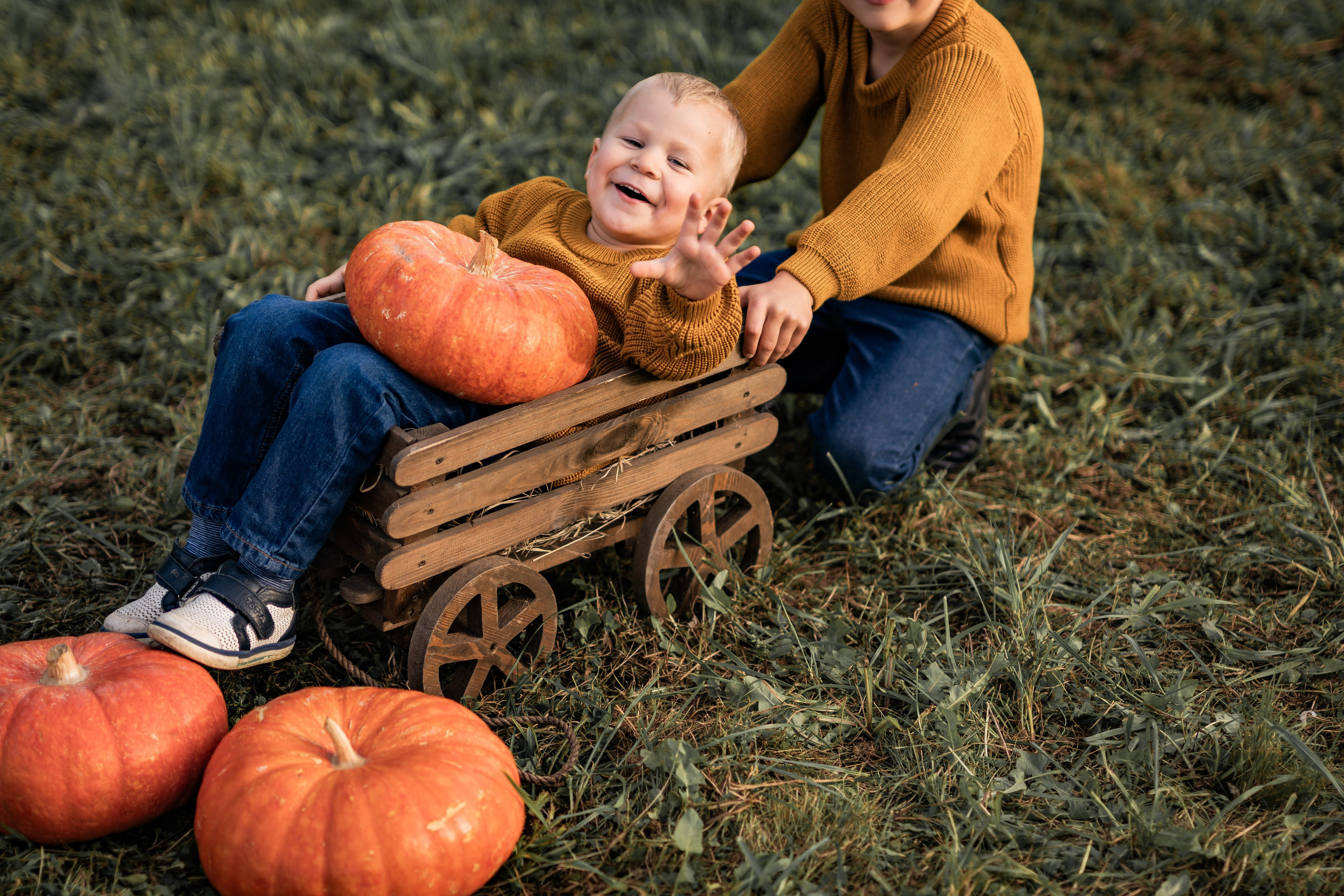 Сентябрь 2025. Семейный фотограф Ефремова Виктория