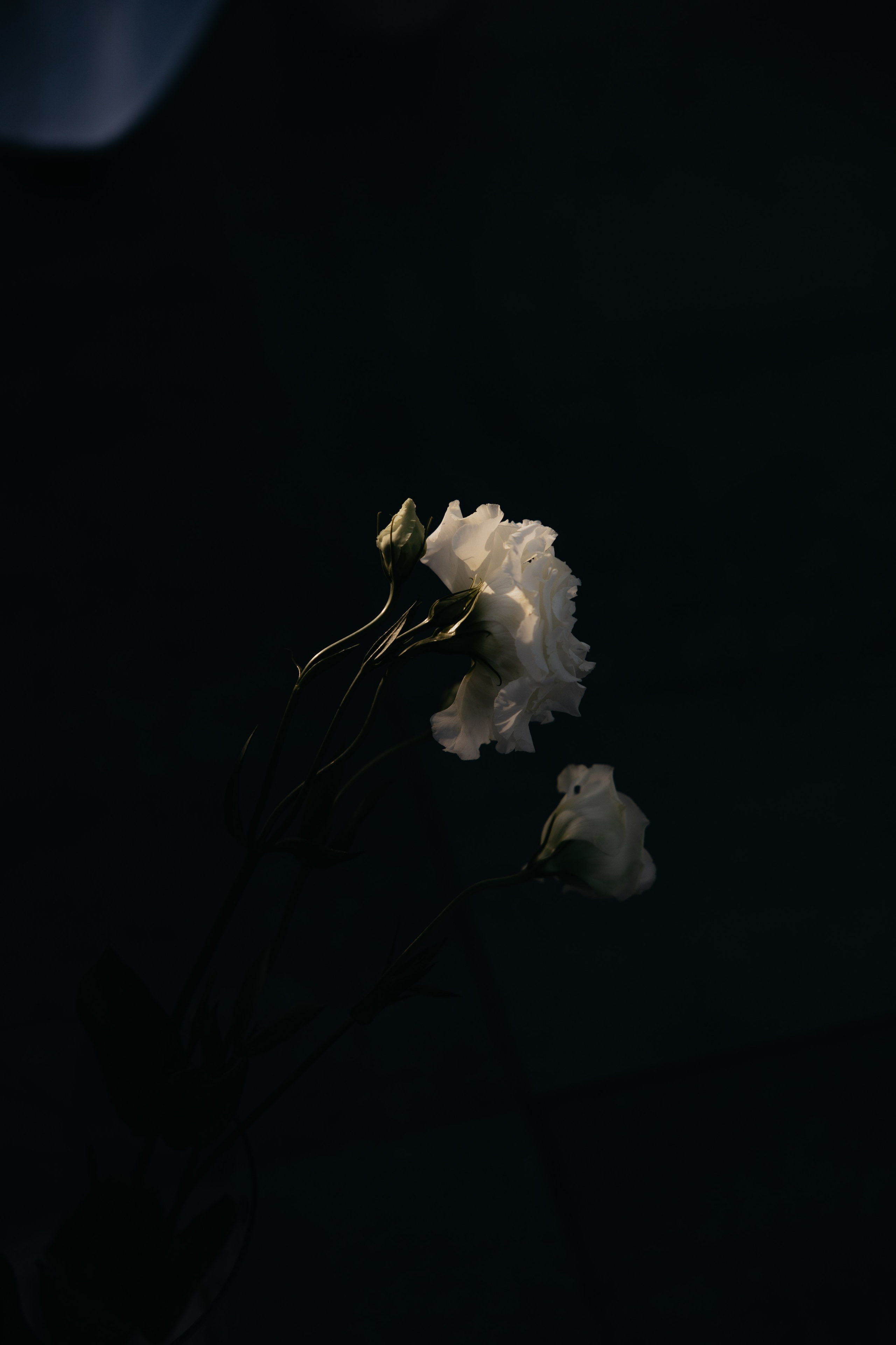 Гафур и Елена. Свадебный фотограф в Астрахани