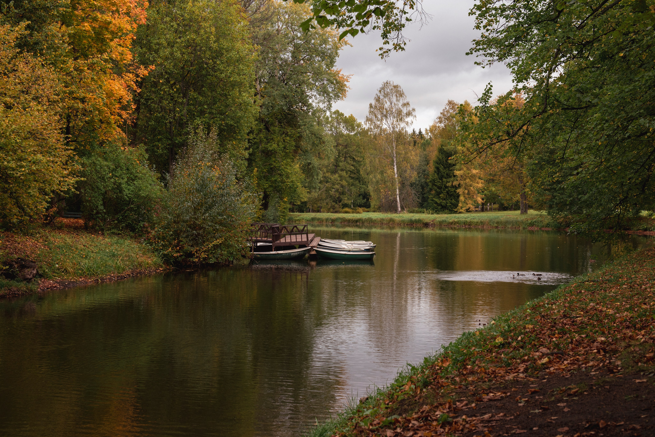Павловский парк. Портретный и архитектурный фотограф в Москве и Санкт-Петербурге