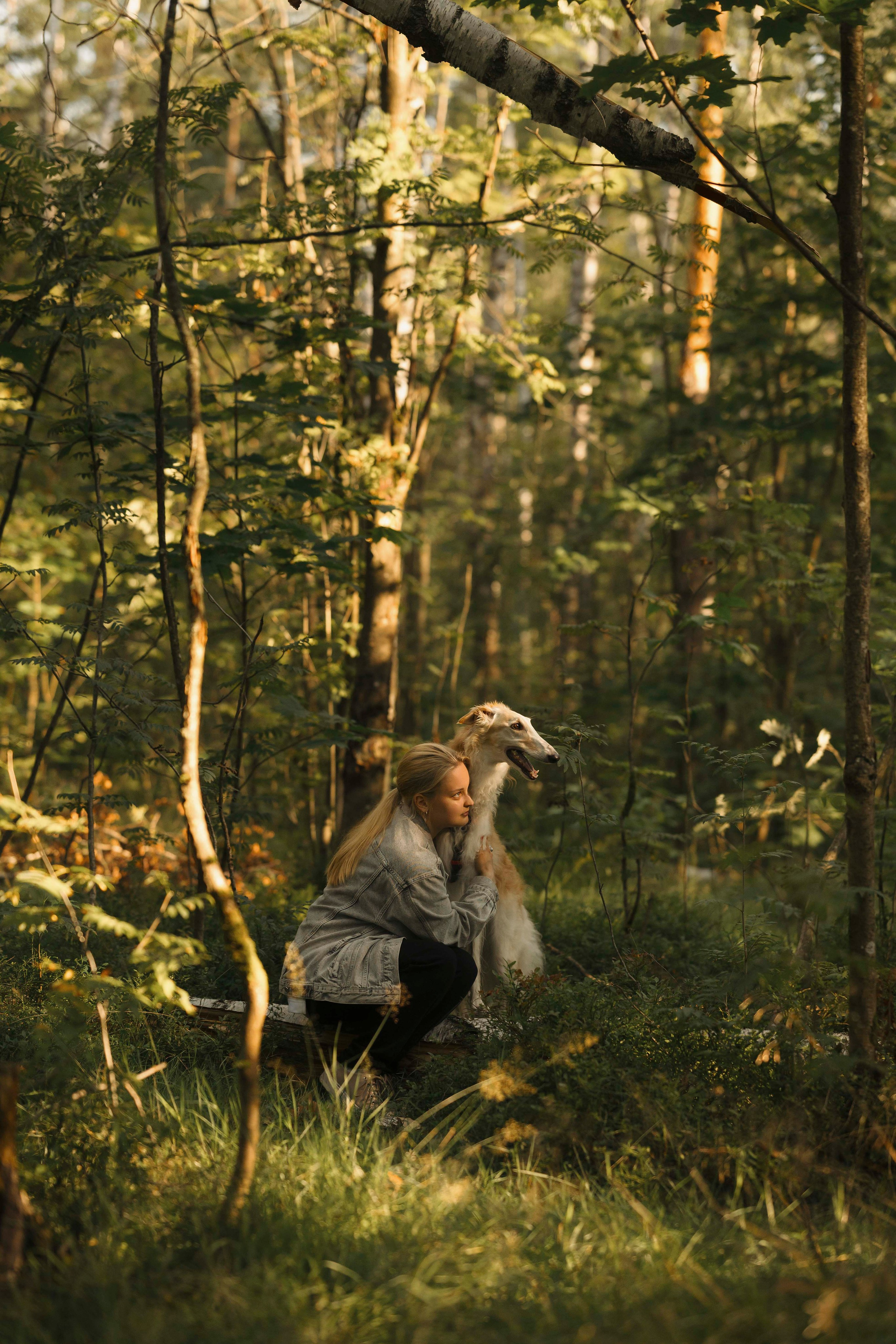 Тайга. Фотограф- анималист Александра Матвеева