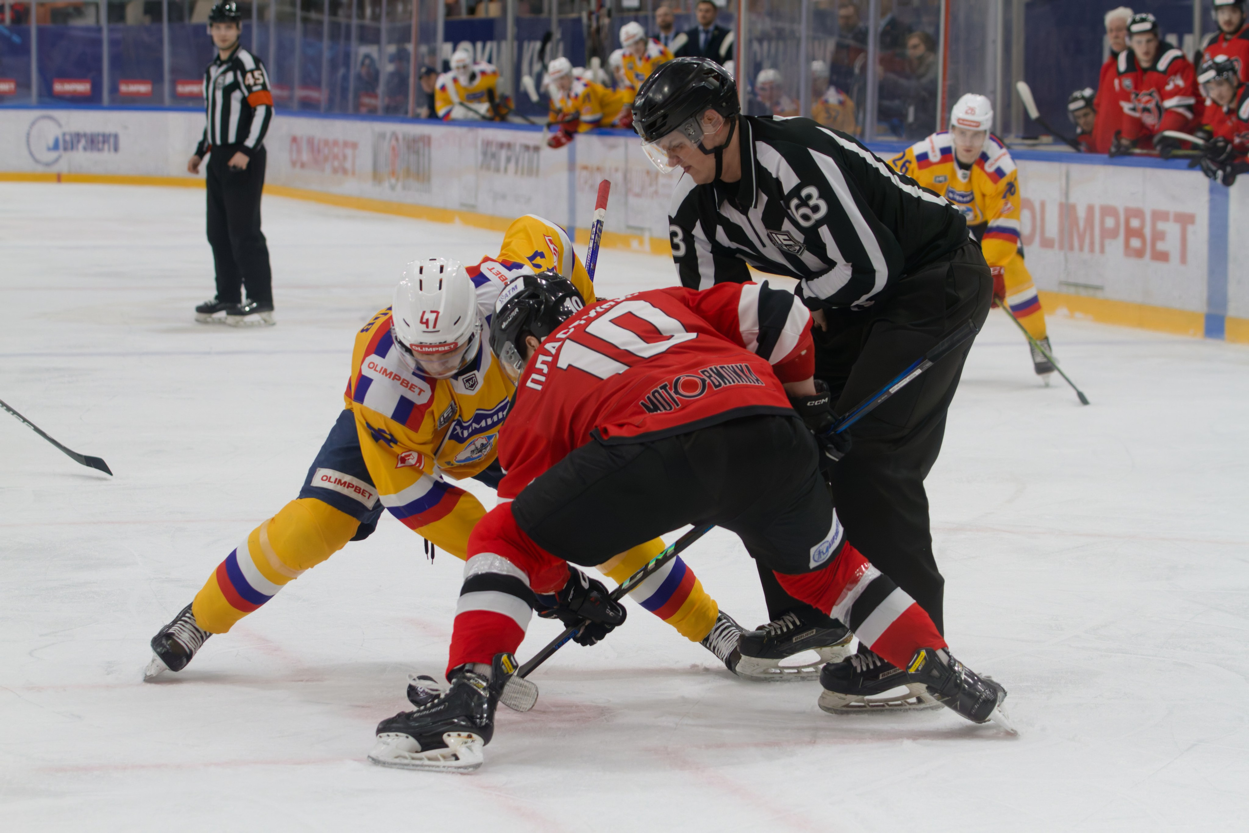 Хоккей. Молот-Химик 12.02.2025. Репортажный и спортивный фотограф в г. Пермь Зильберг Павел