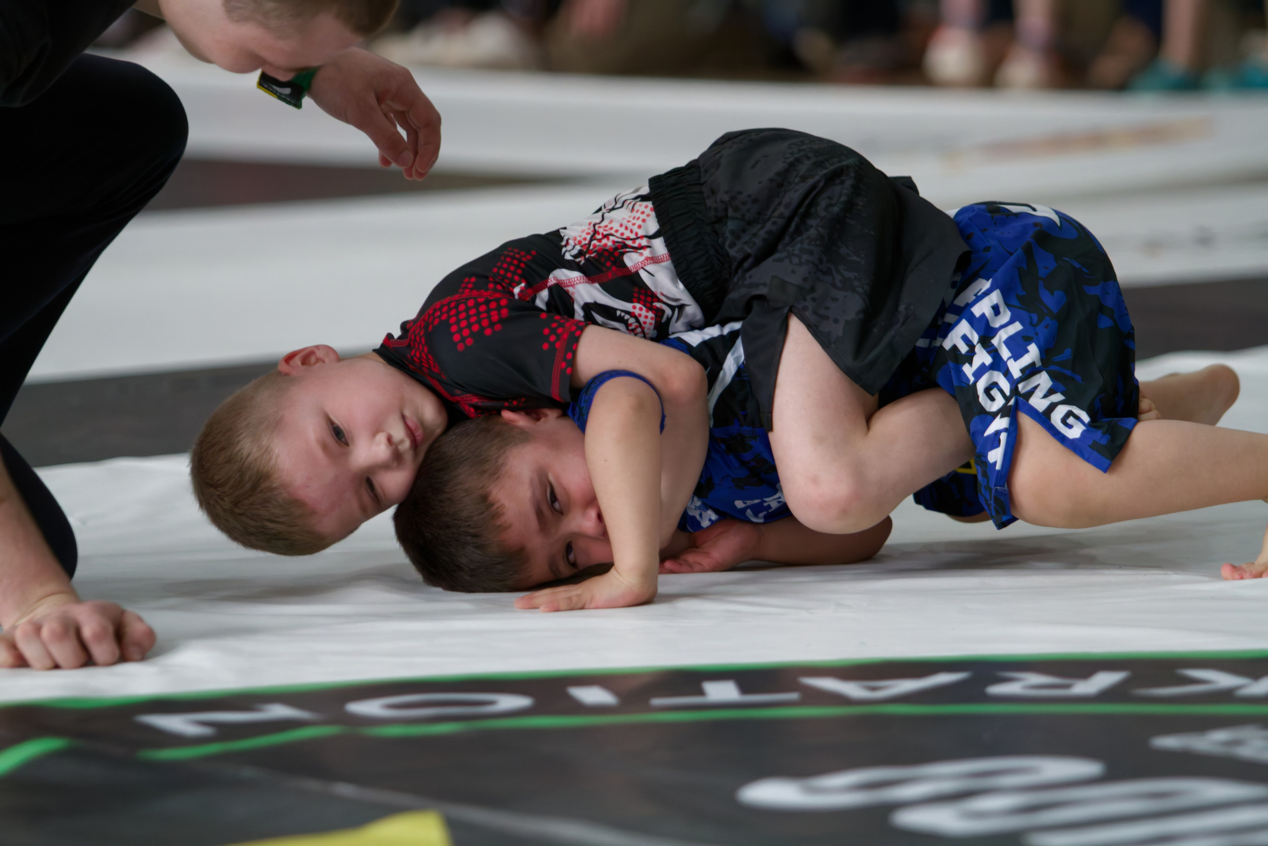 Борьба. Джиу-джитсу 26.04.2025. Репортажный и спортивный фотограф в г. Пермь Зильберг Павел