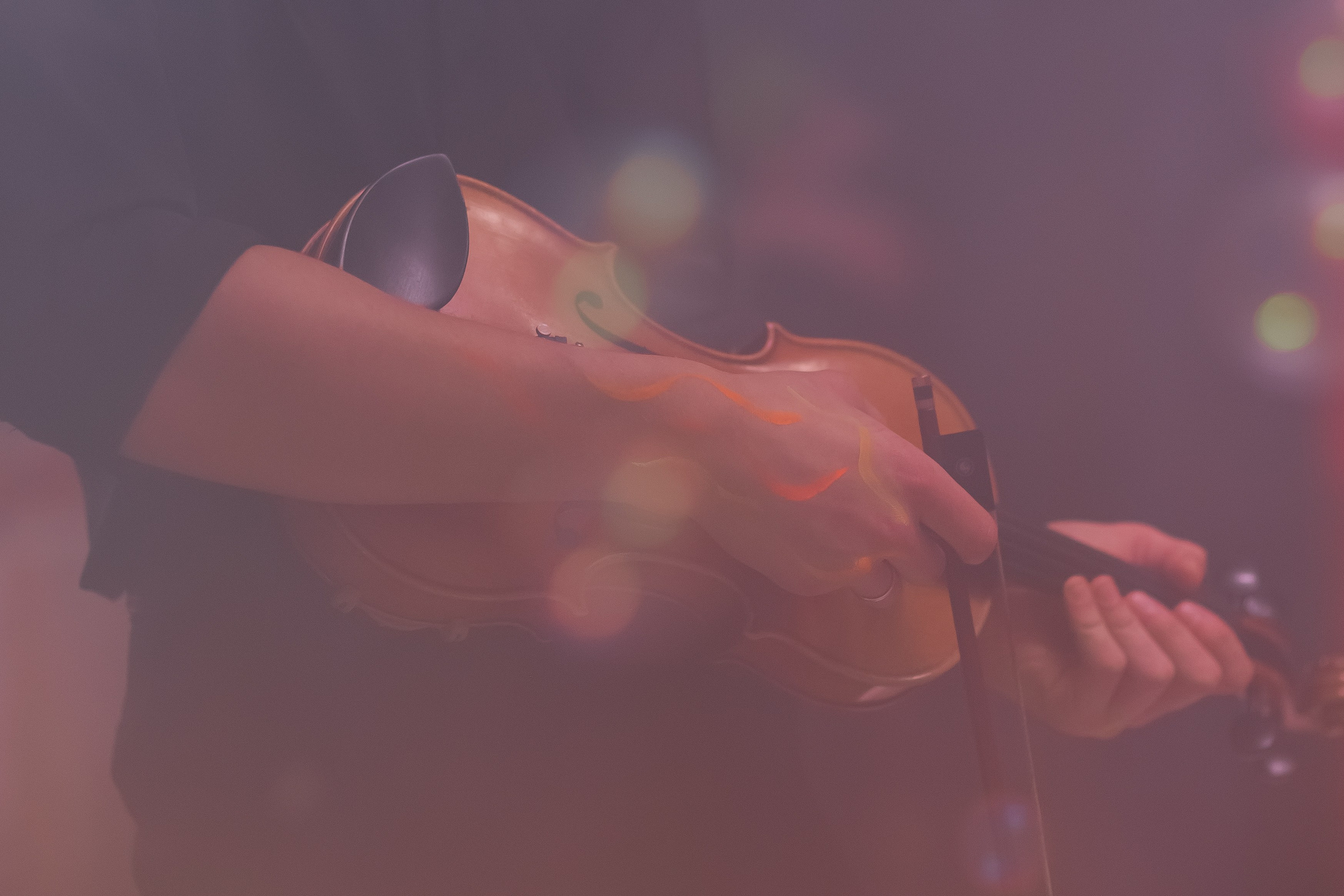 Шоу тортов 2. Свадебный фотограф