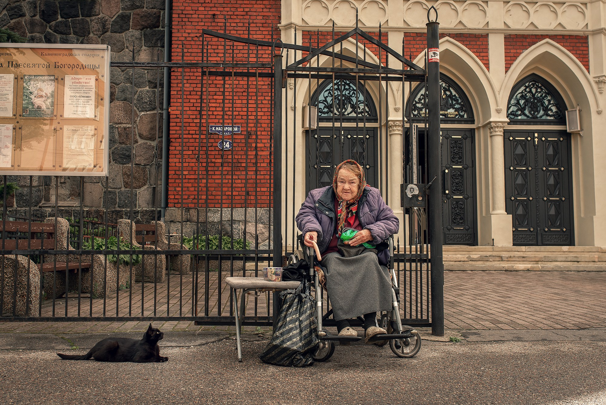 Бабушка и кот. Женский фотограф Крещение Венчание Москва Брянск