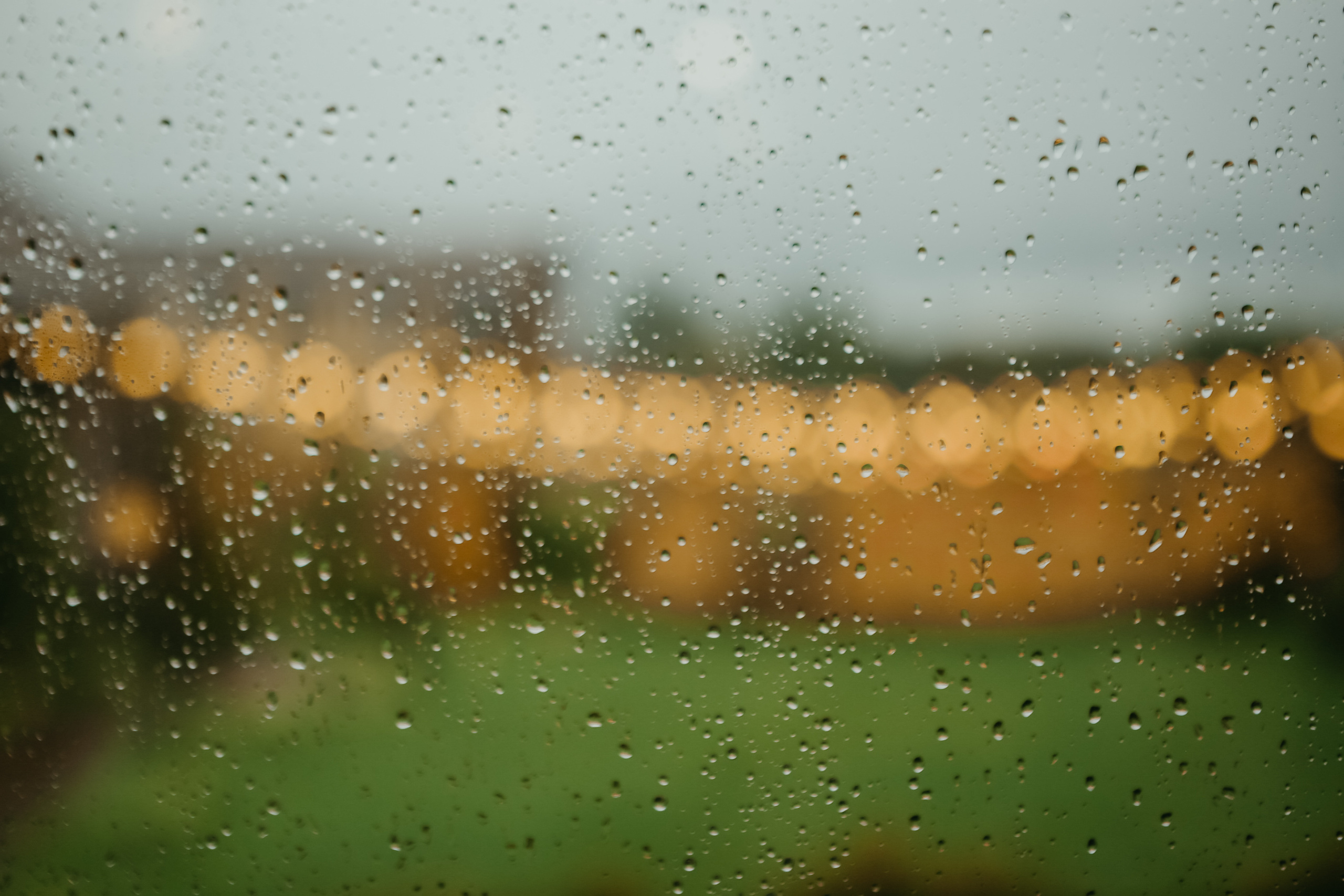 Свадьба Димы и Насти. Фотограф на Новой риге и в Москве Елена Елис