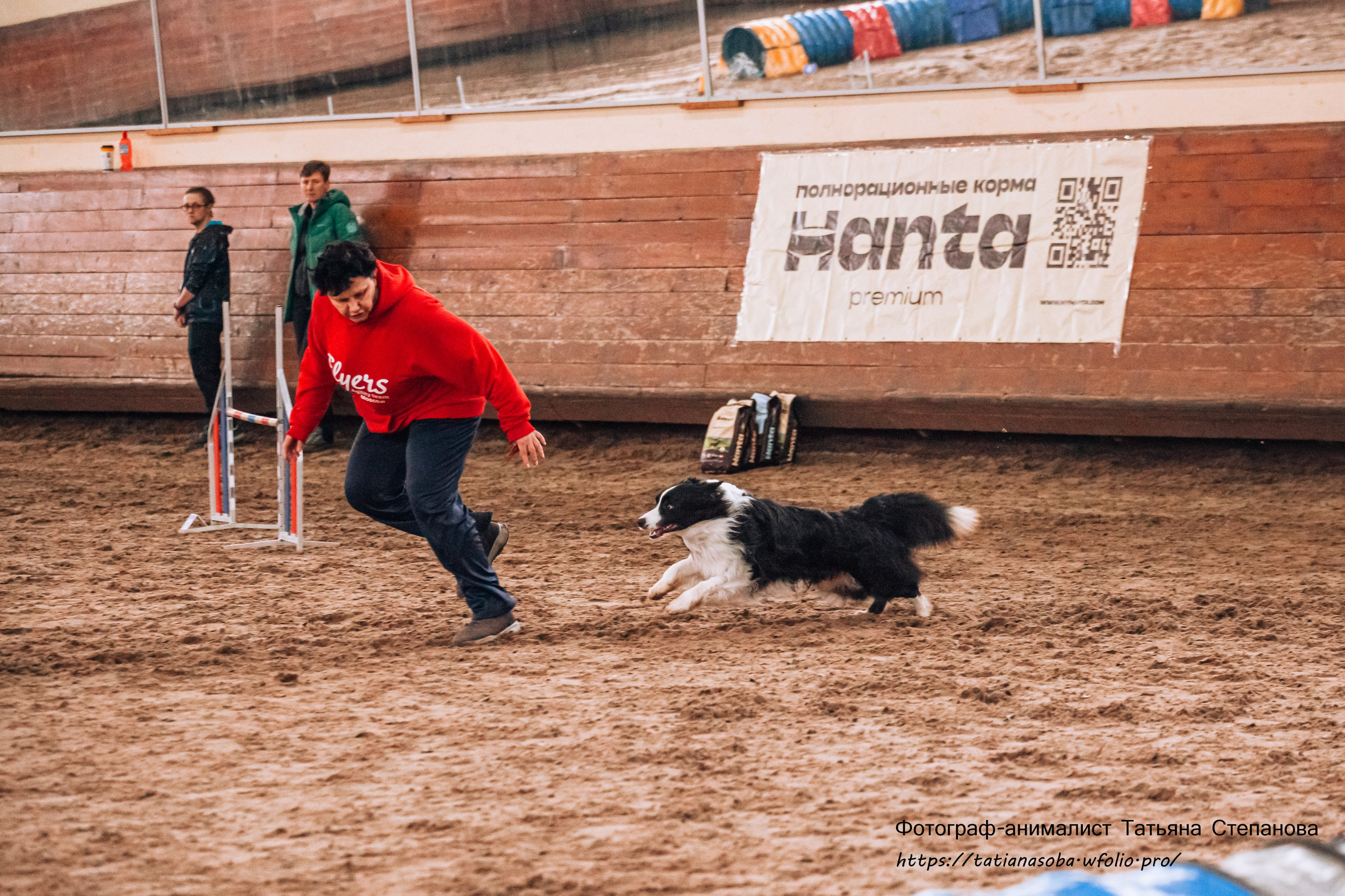 Соревнования по Аджилити 25.02.2024. Фотограф-анималист Татьяна Степанова
