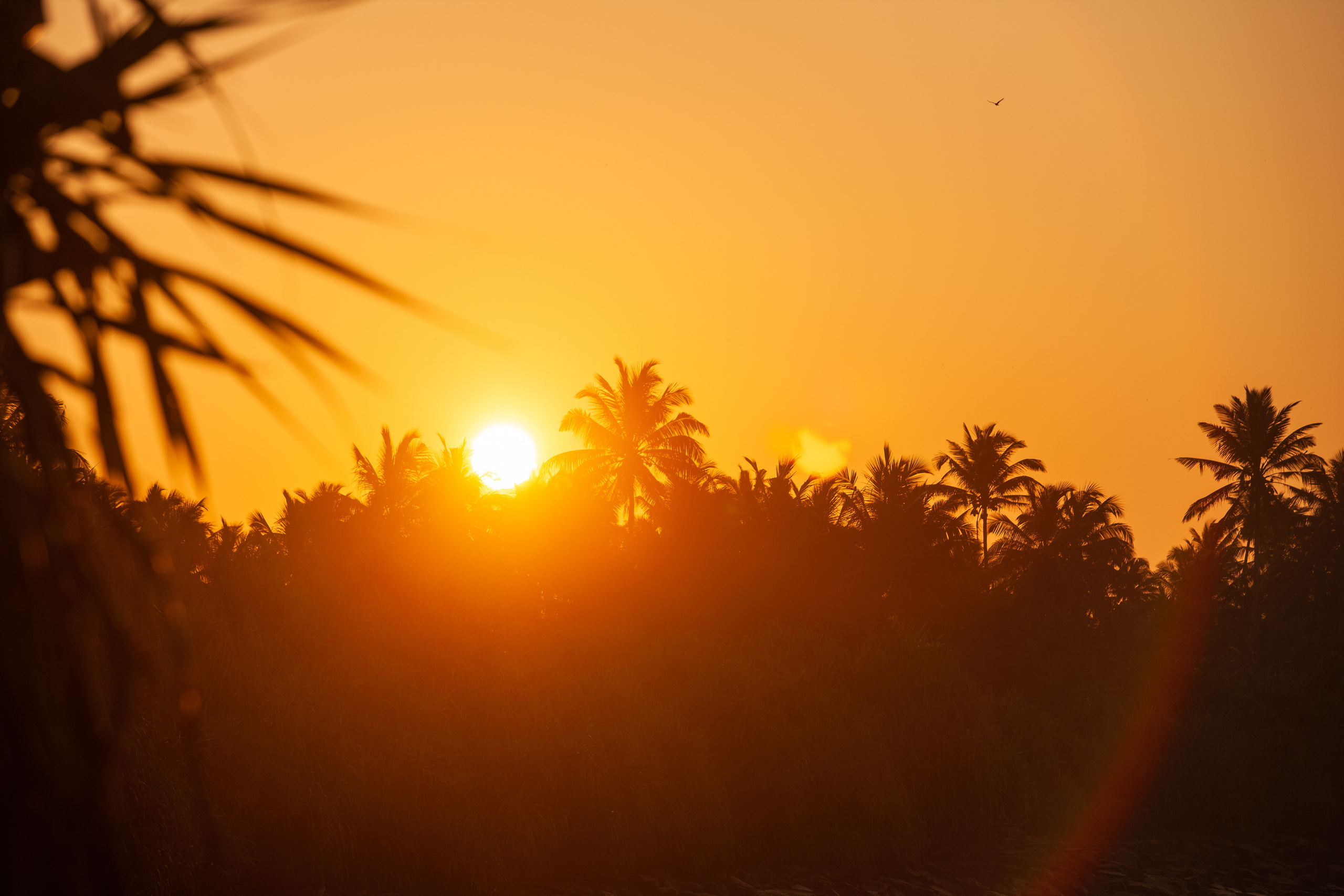 Природа, пейзажи, закаты, рассветы. Фотограф Сергей Кишкель Дананг Нячанг Фукуок