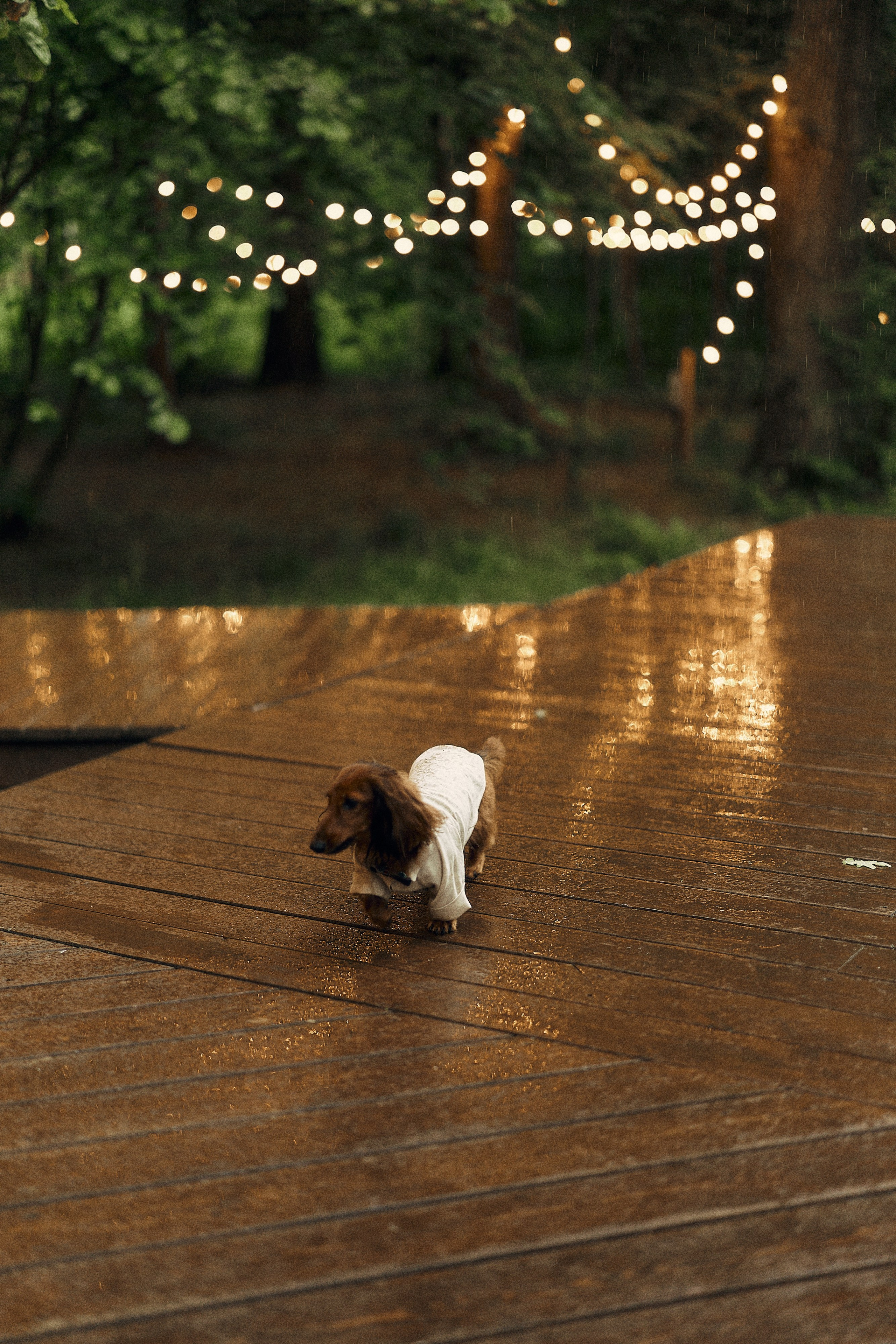 Анастасия и Влад. Свадебный и семейный фотограф в Иваново и Москве Мильков Вадим