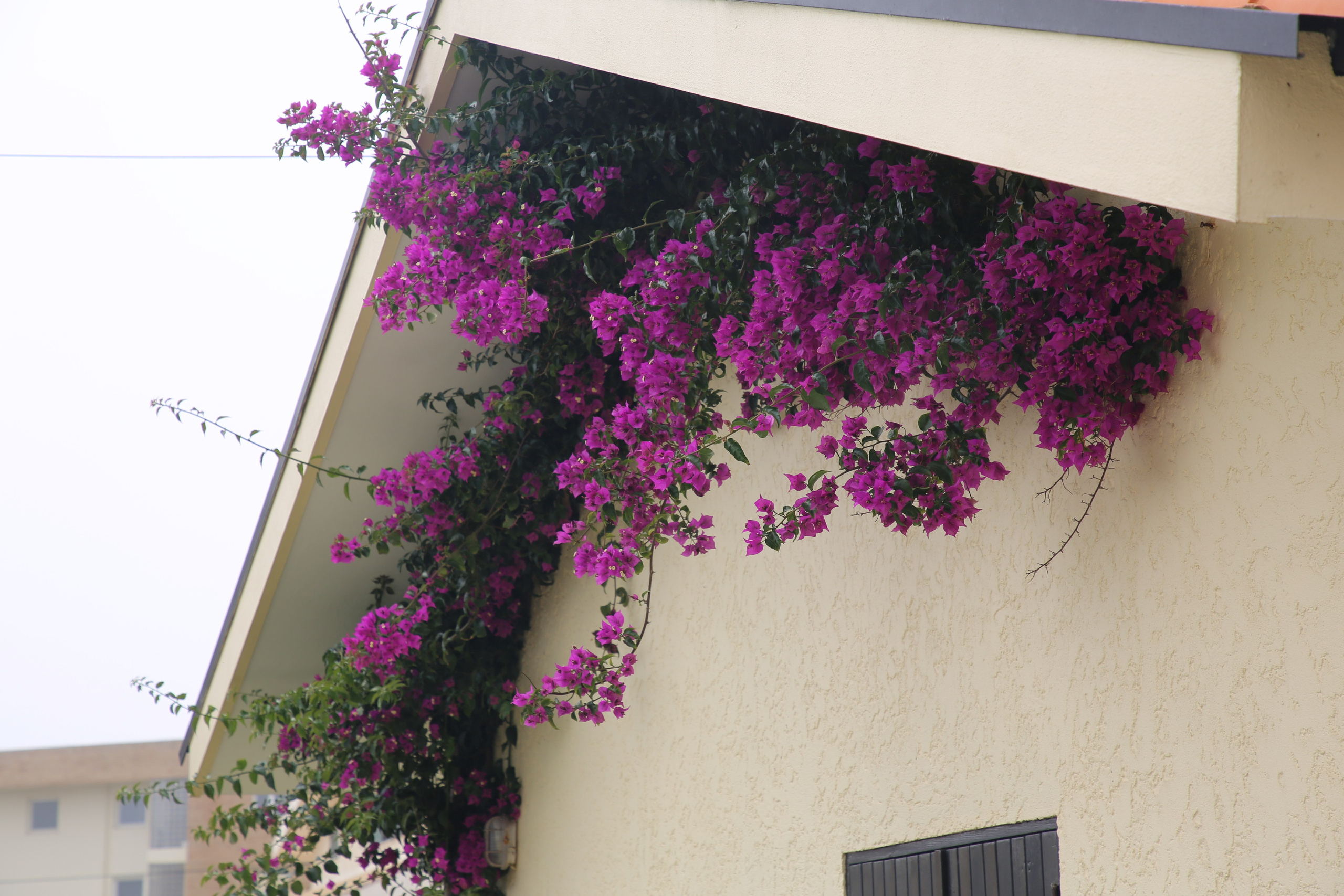 Esmoriz, Portugal. Andrey Filippov Photographer