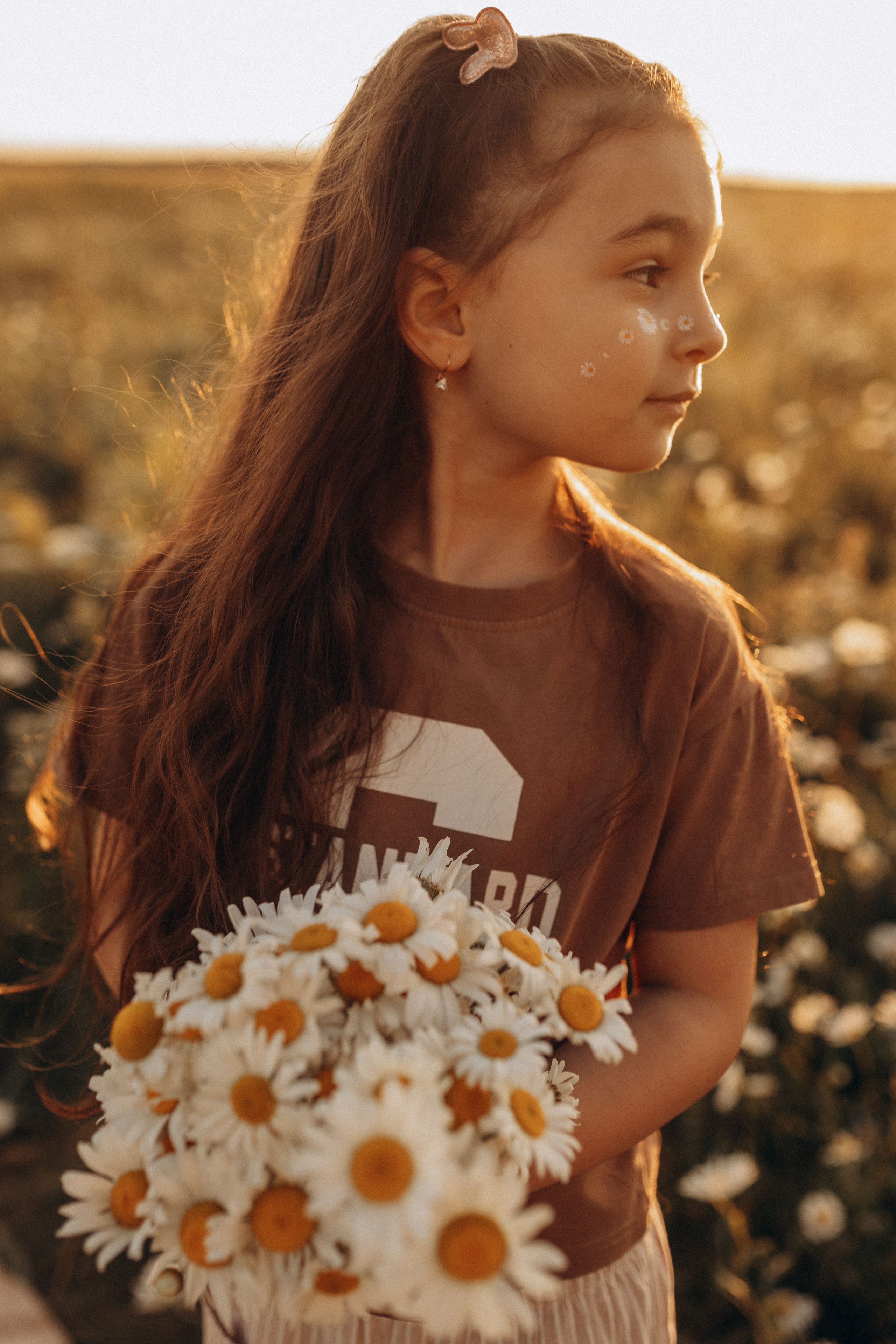Закат на ромашковом поле. Фотограф в Ставрополе Svetlana Matveeva
