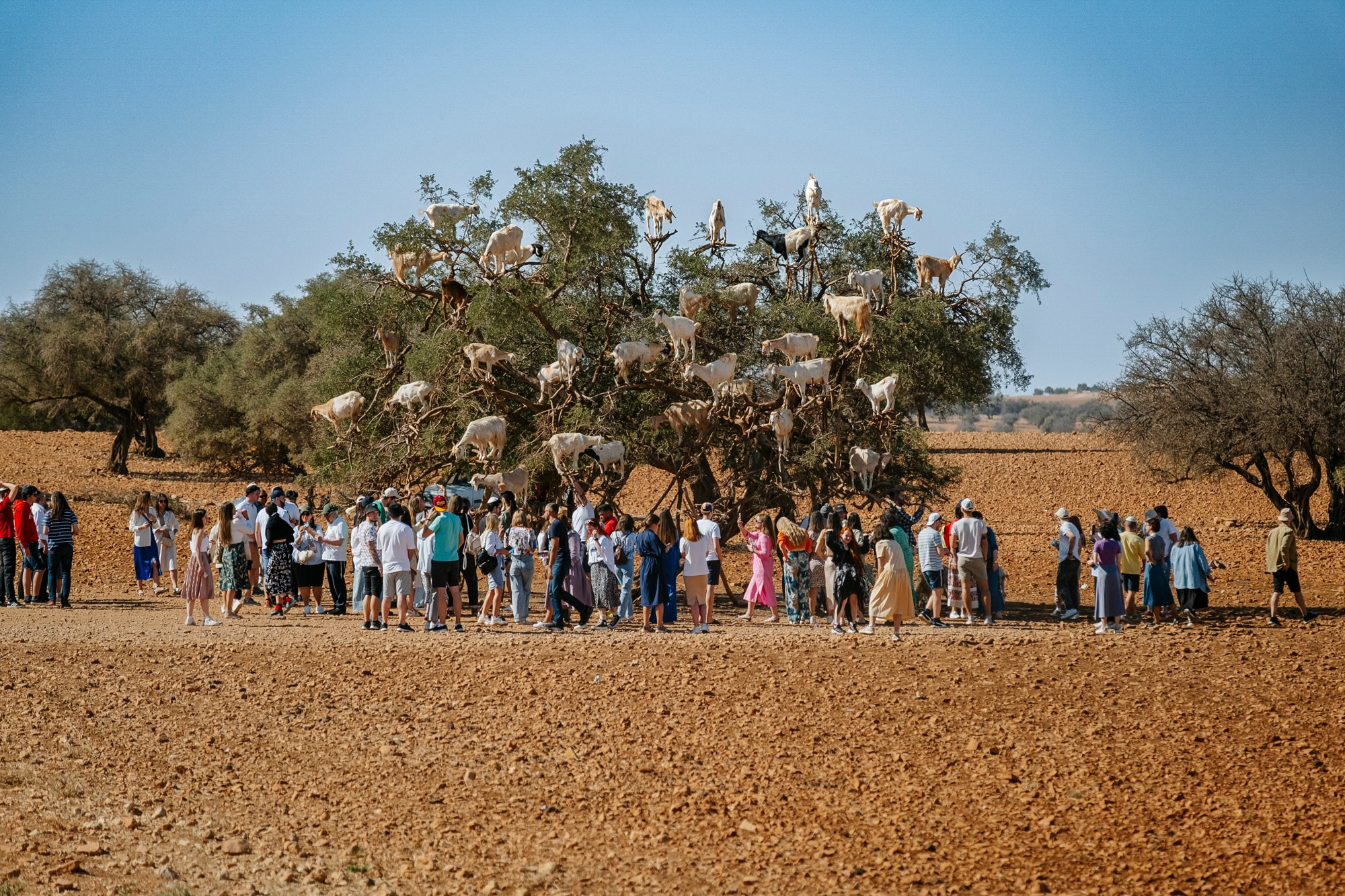 Марокко | город Эссуэйра. #фотокаквкино | Фотографирую людей