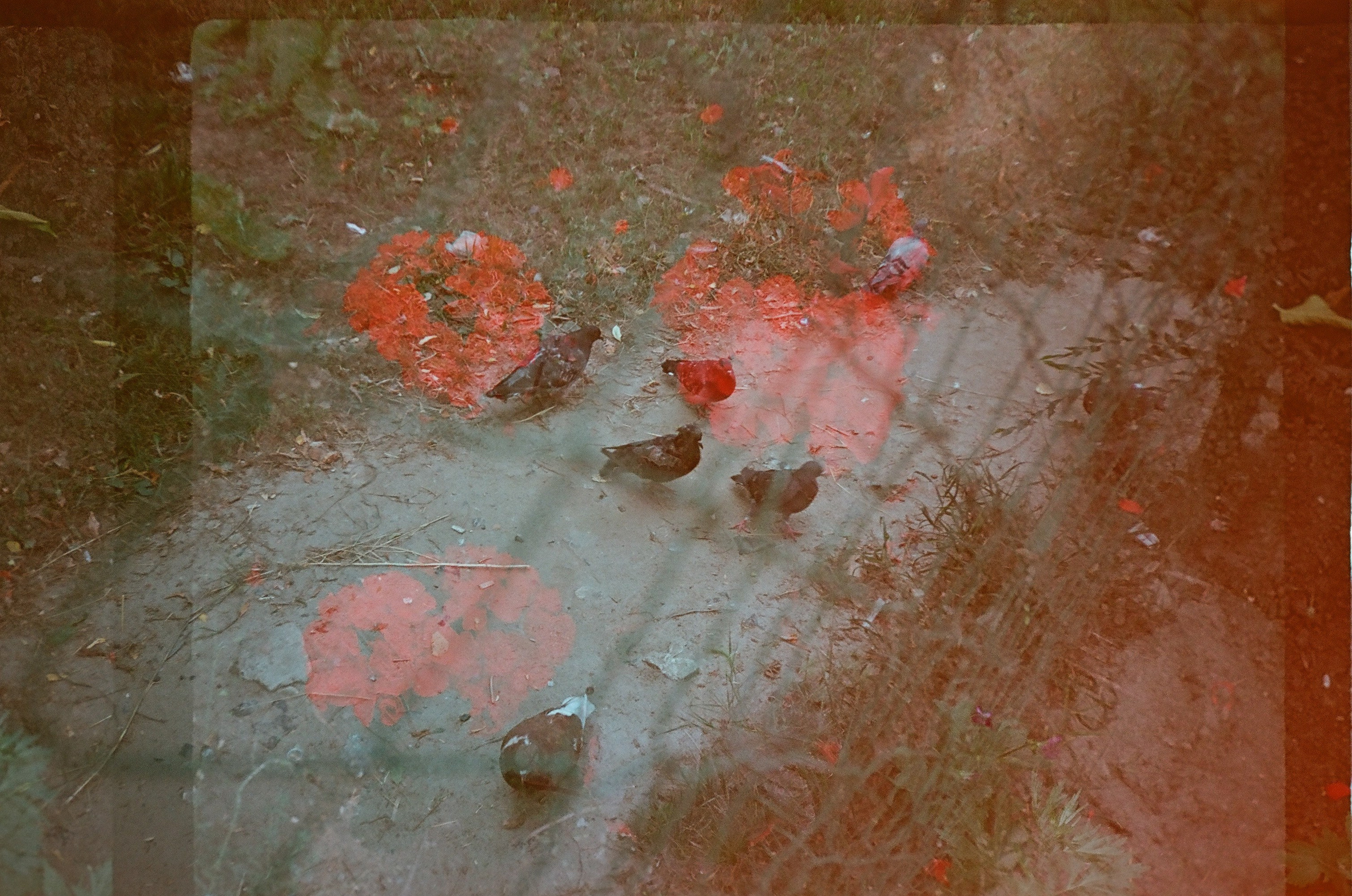 Искать. Подсвечивать. Прятать