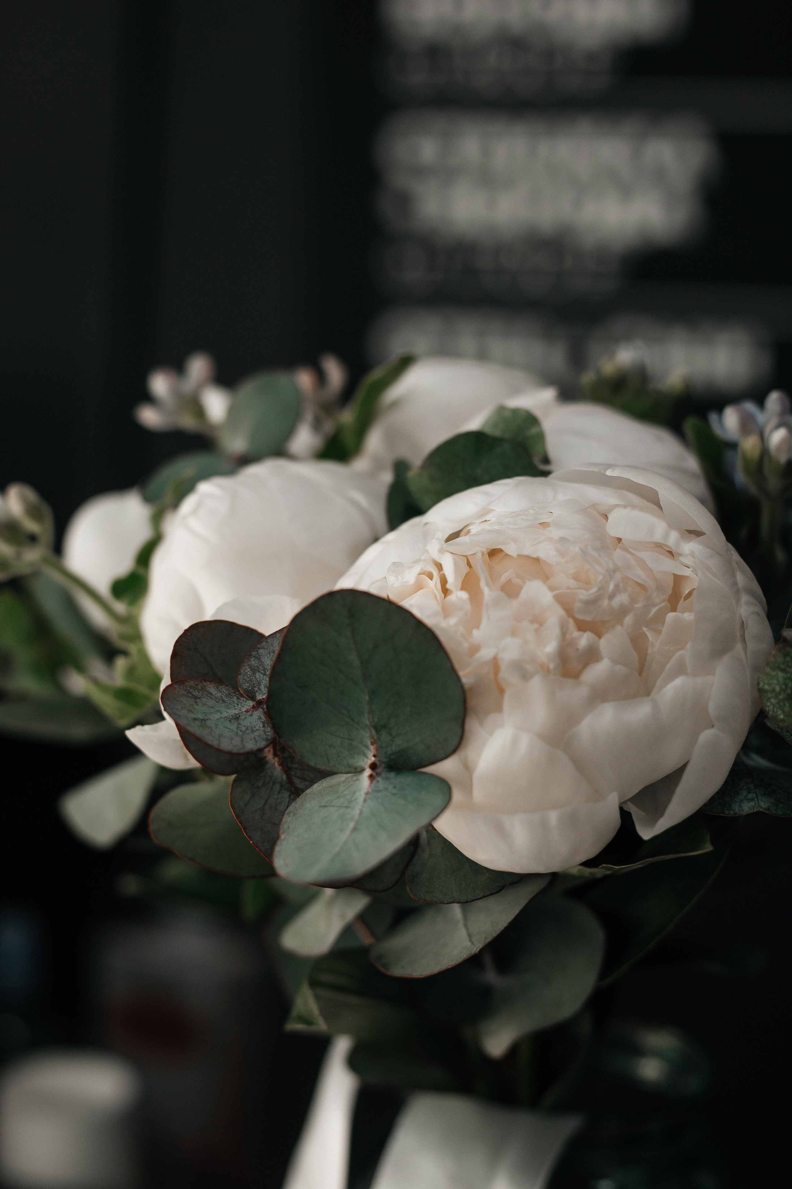 Утро не невесты. VOLOCHKOVA