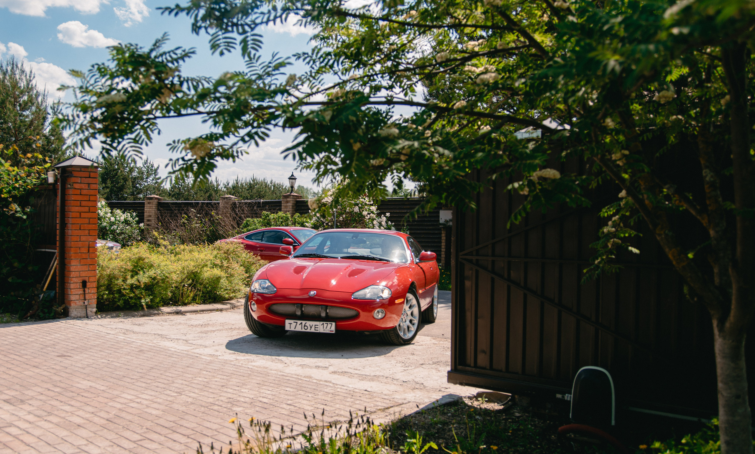 Open season 2025. Жуков Илья  свадебный фотограф в Москве