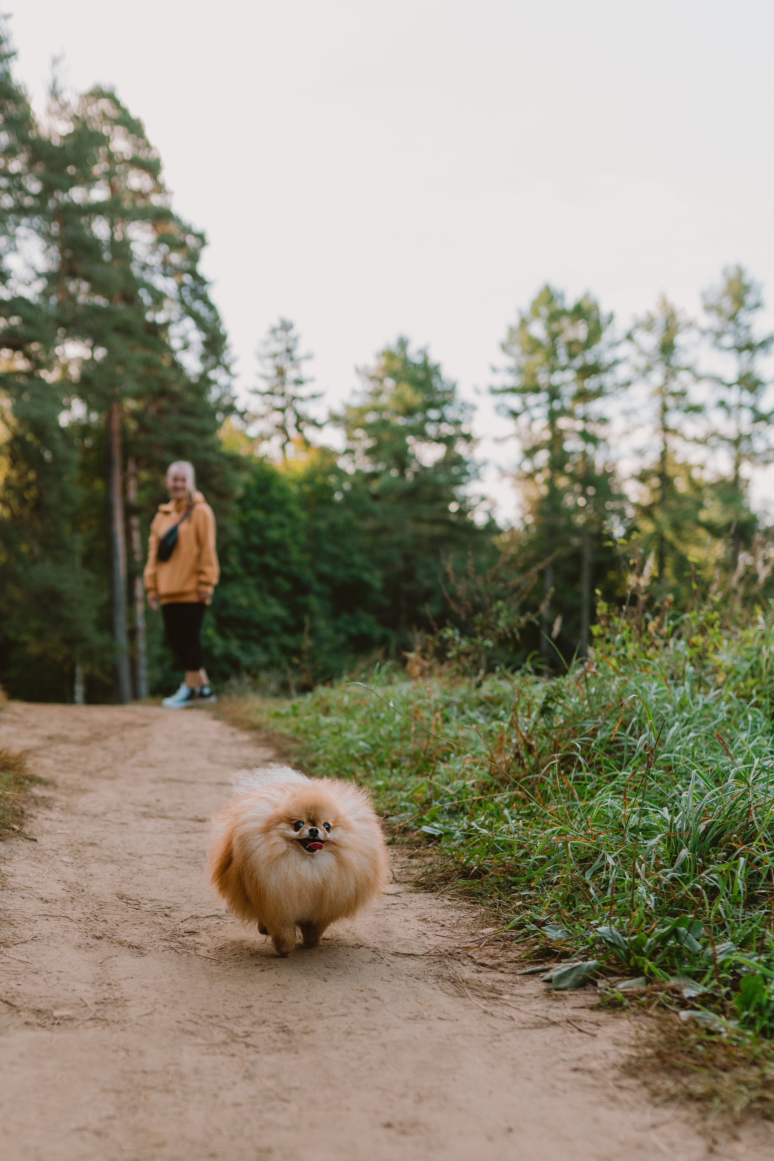 Наталья и Софа. Фотограф анималист в Спб недорого Олеся Майорова