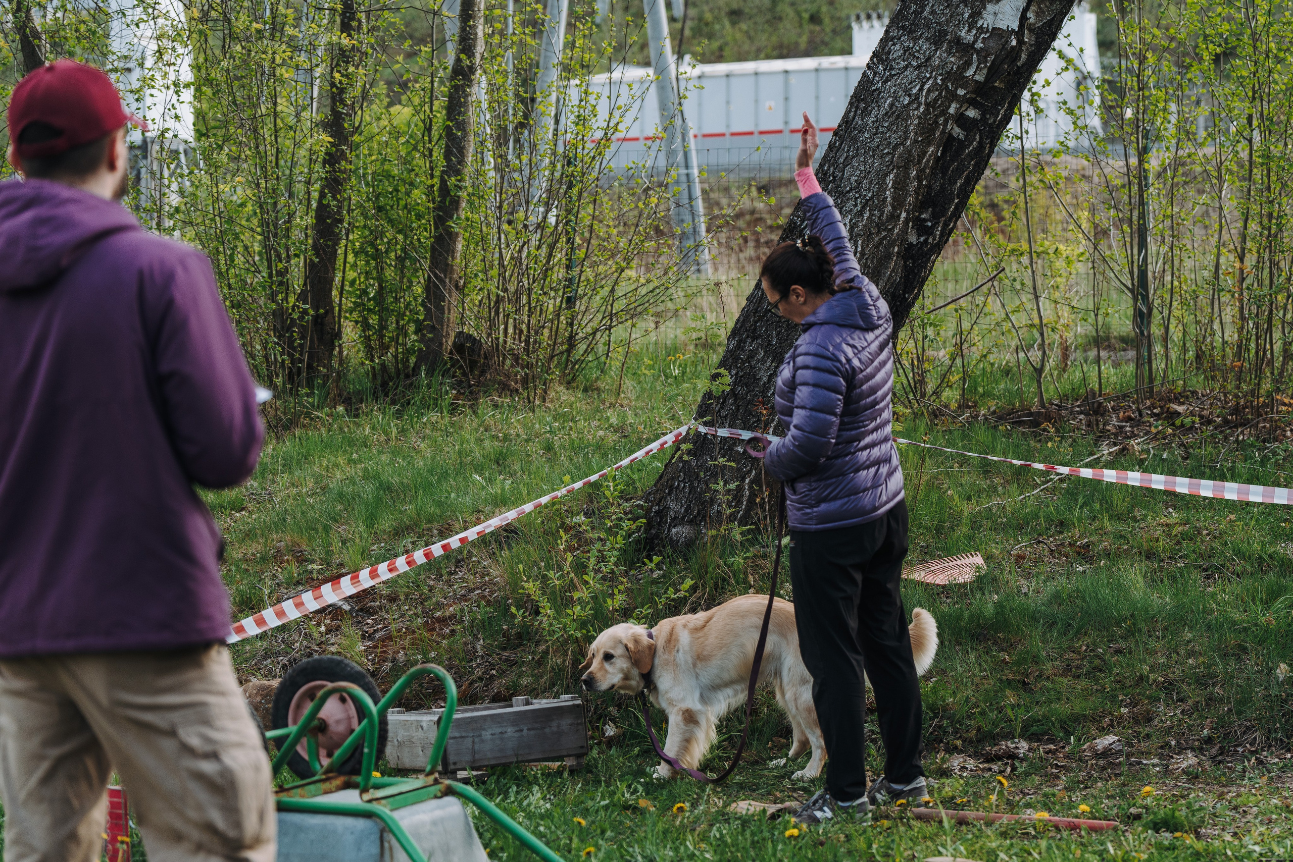 Соревнования по ноузворку в Лосево. Фотограф анималист в Спб недорого Олеся Майорова