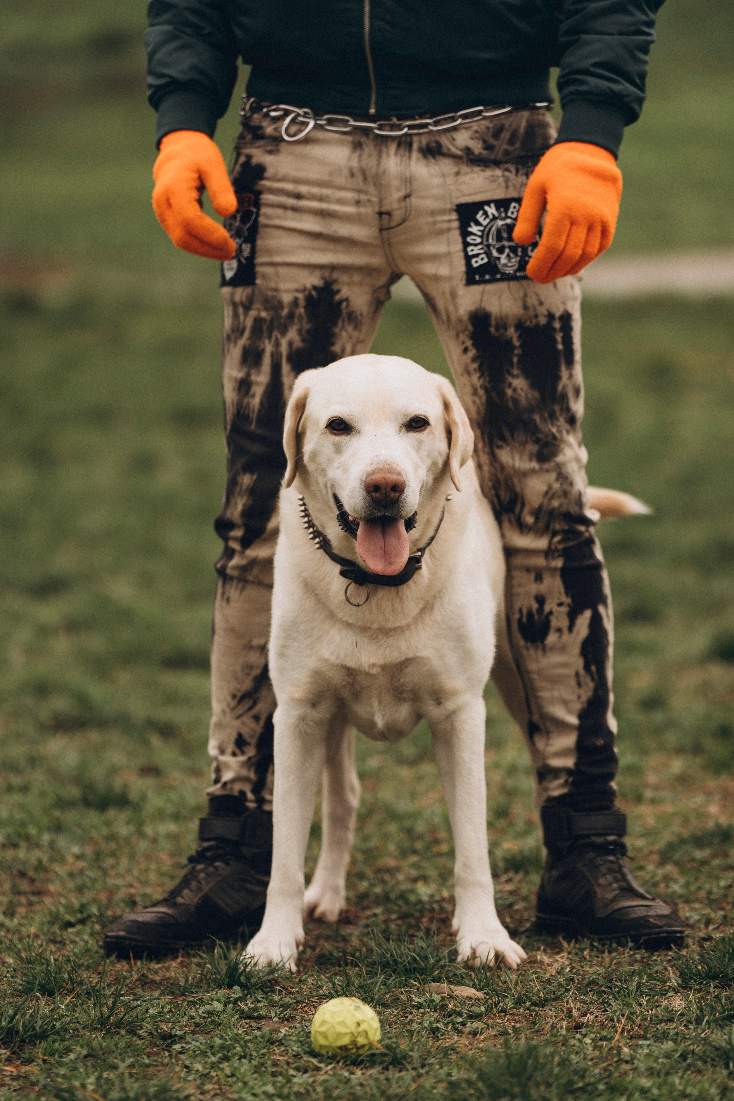 Вати, Лена и Леван. Фотограф анималист в Спб недорого Олеся Майорова
