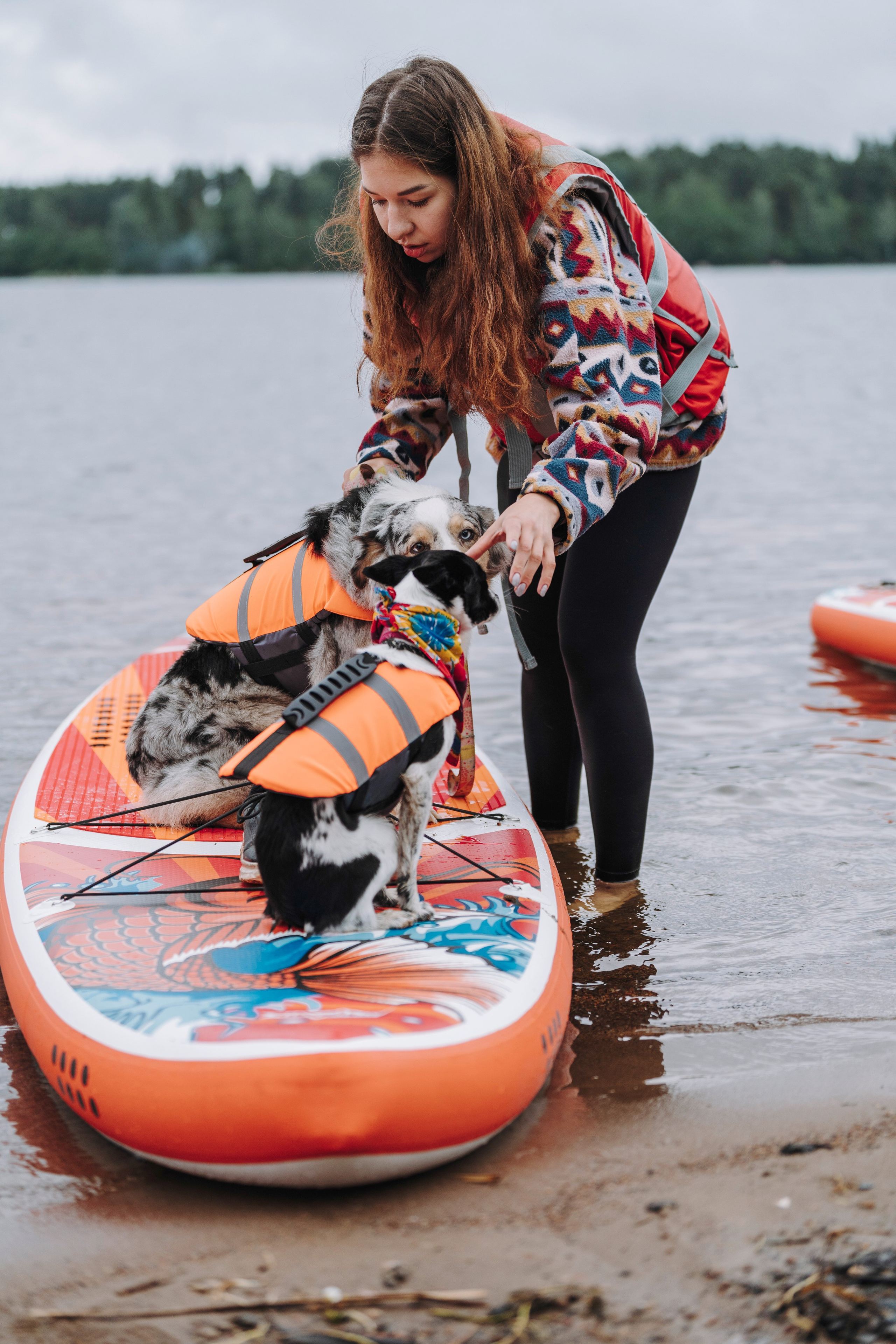 Катание на сапах с собаками. Фотограф анималист в Спб недорого Олеся Майорова